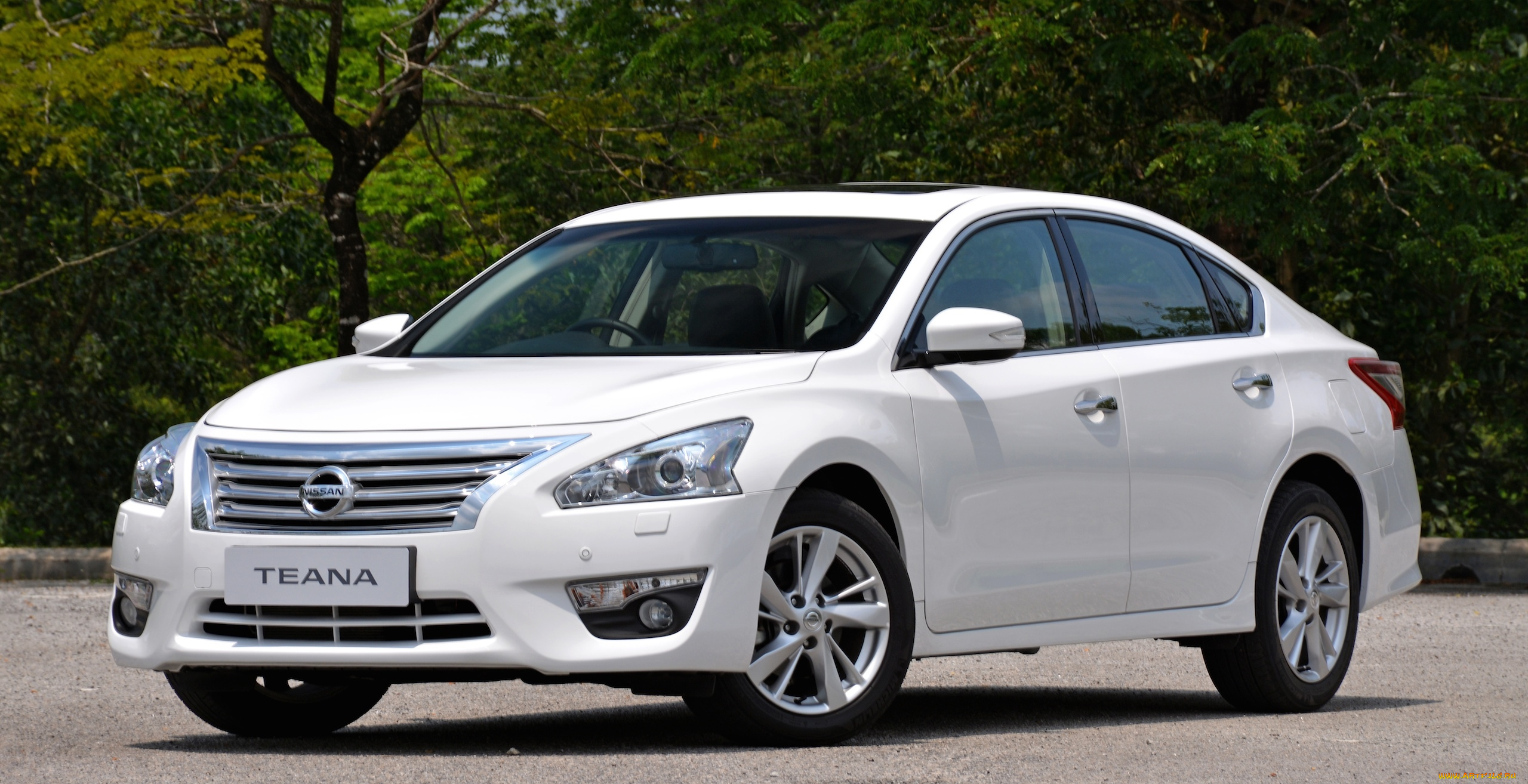 автомобили, nissan, datsun, светлый, 2014г, l33, my-spec, teana