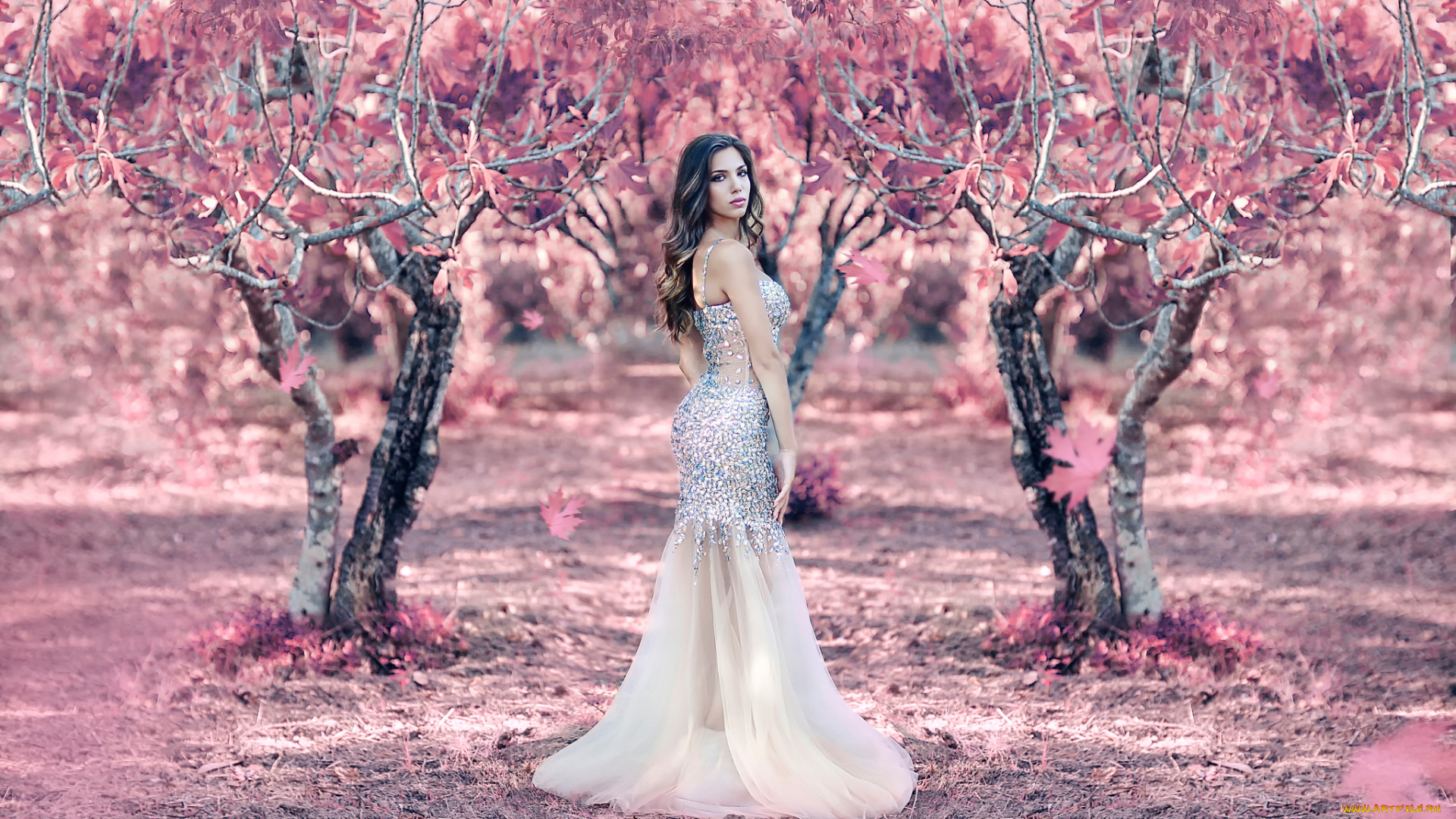 девушки, alessandro, di, cicco, raining, pink, платье, девушка, alessandro, di, cicco