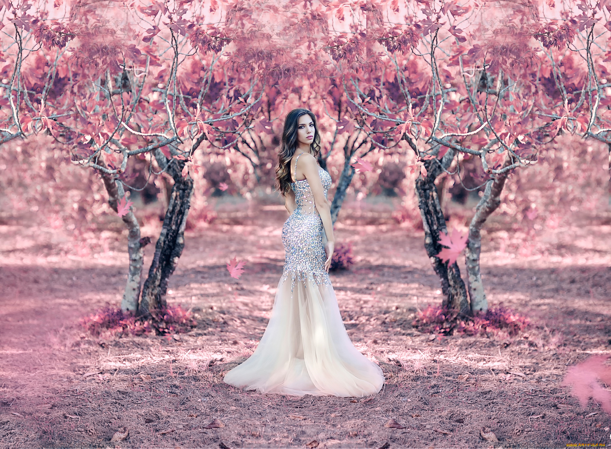 девушки, alessandro, di, cicco, raining, pink, платье, девушка, alessandro, di, cicco