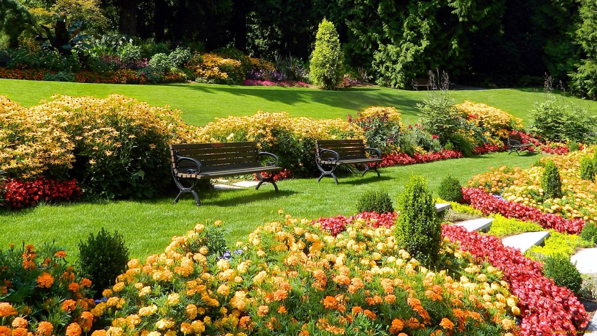 природа, парк, скамейки, бархатцы, цветы, клумбы, лужайки