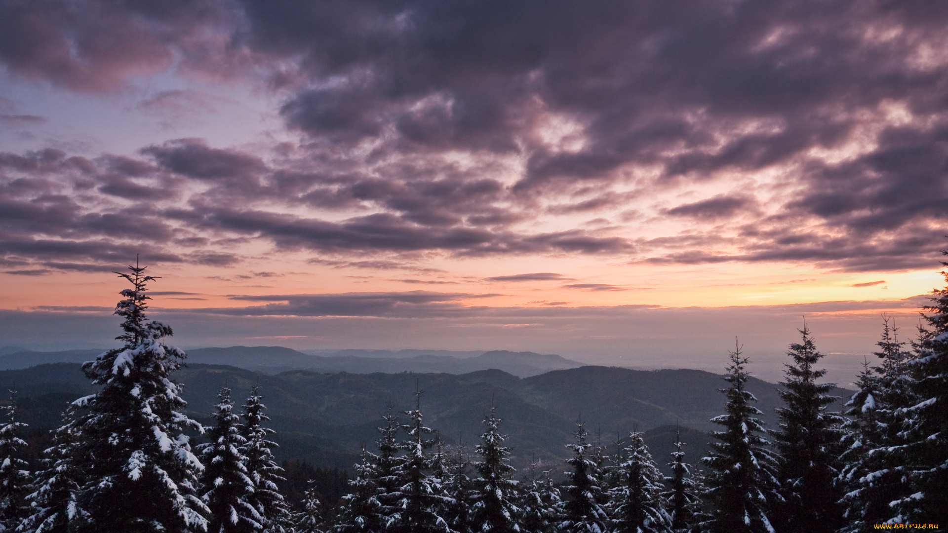 природа, пейзажи, лес, ели, горы, тучи, небо