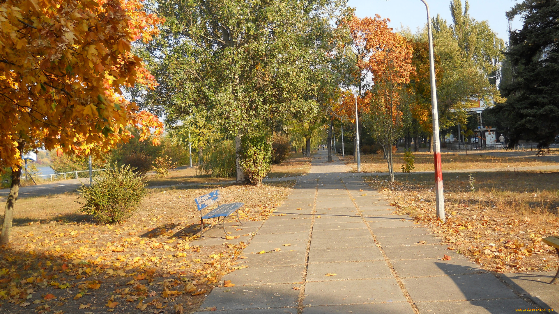 русановская, набережная, в, киеве, природа, парк, аллея, осень, киев