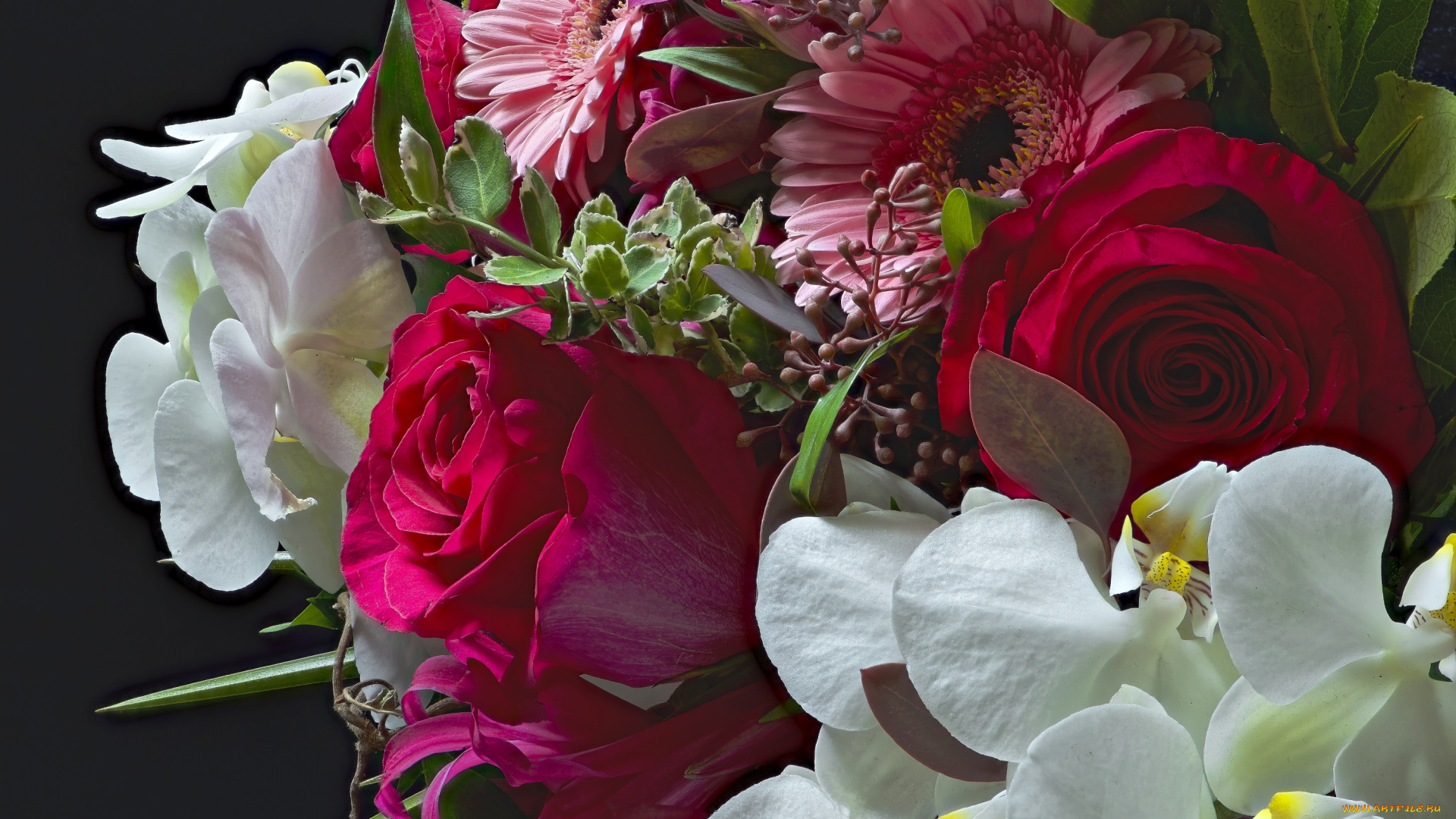 цветы, букеты, , композиции, букет, розы, орхидея, гербера