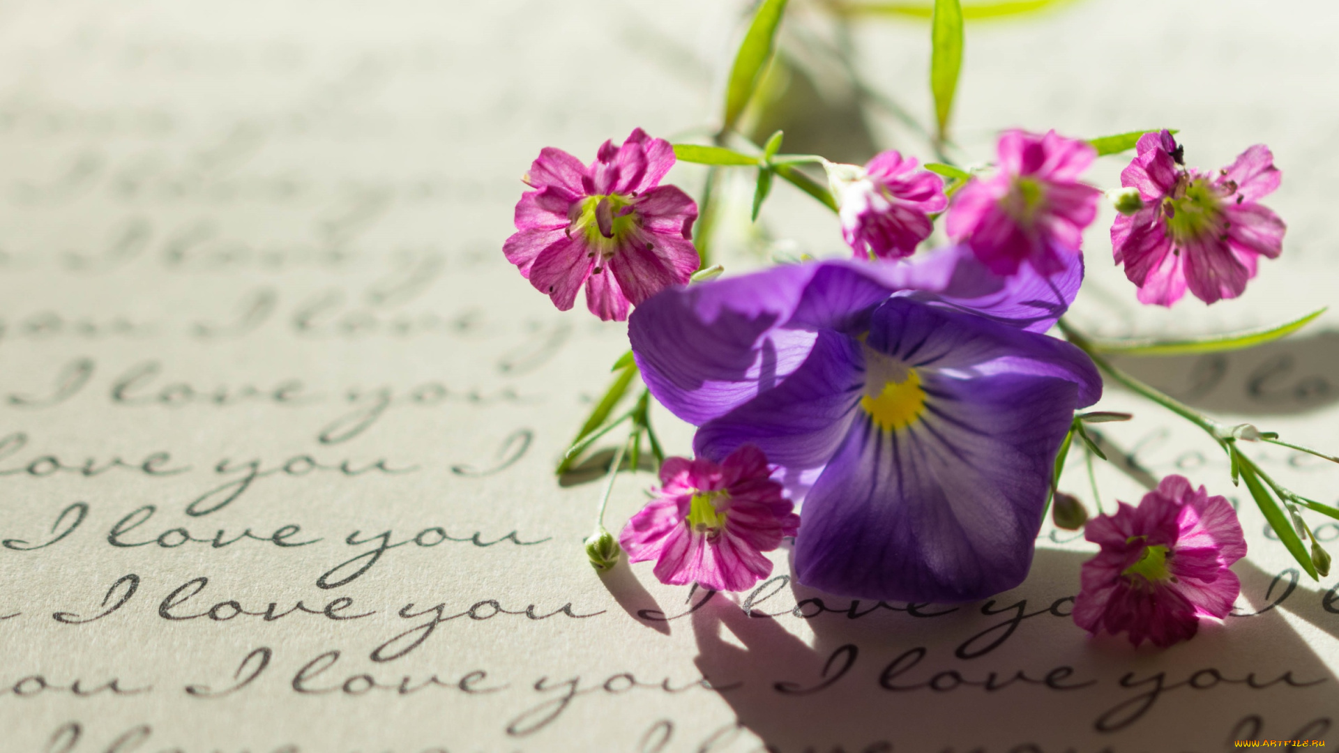 цветы, разные, вместе, виола, письмо, макро, стиль