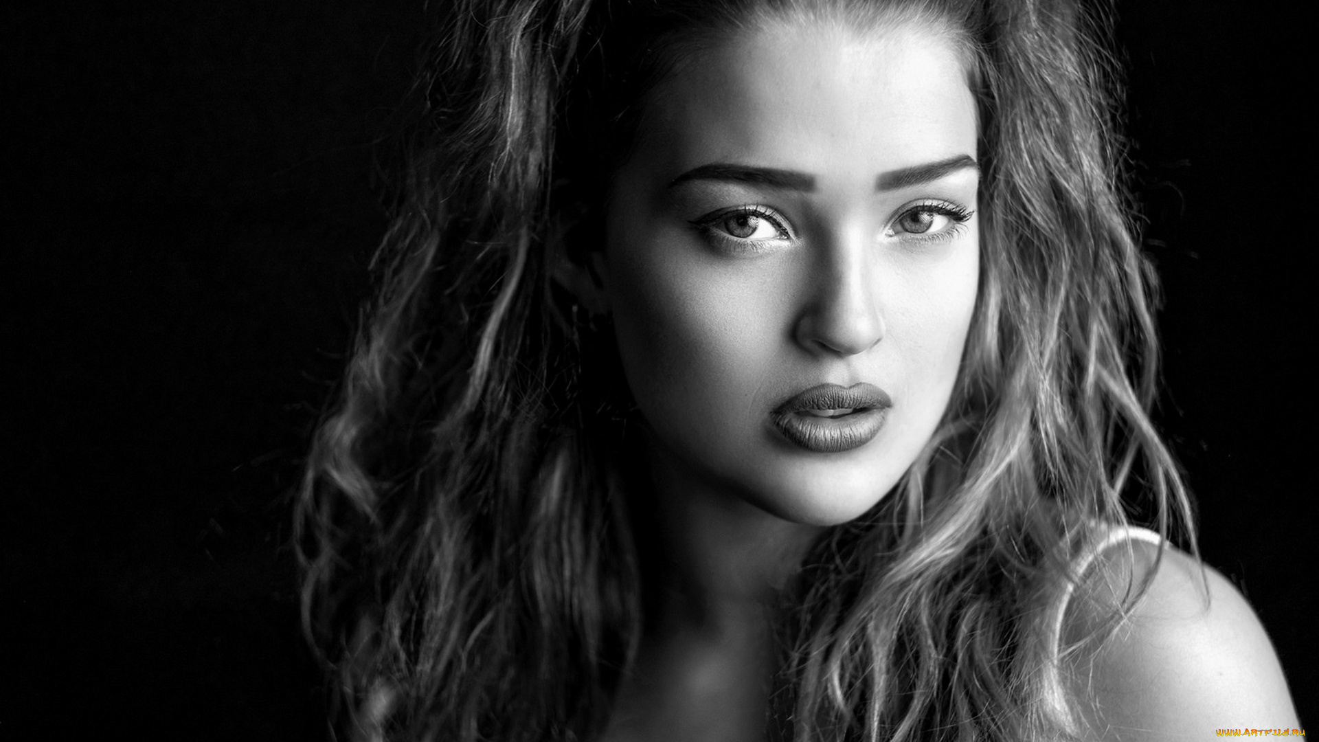 девушки, -unsort, , Черно-белые, обои, взгляд, лицо