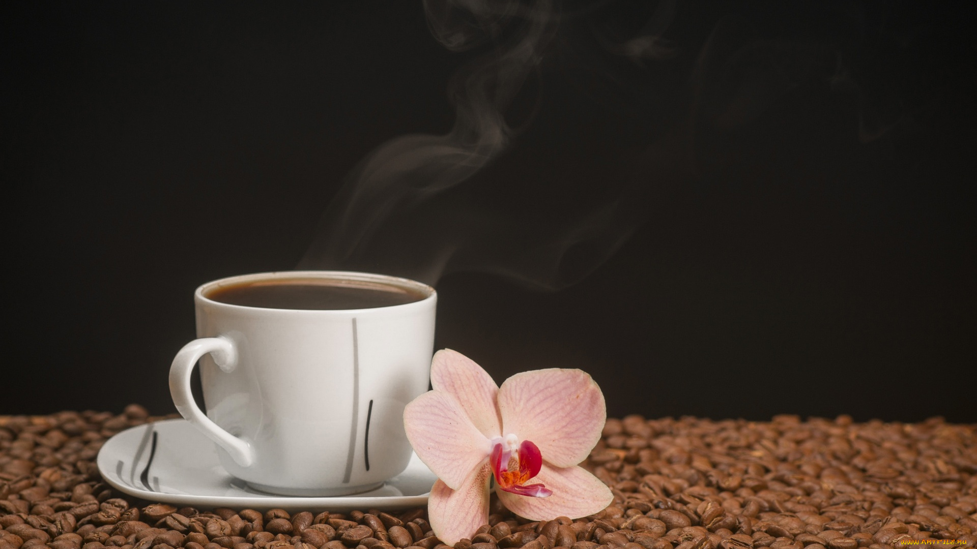 еда, кофе, , кофейные, зёрна, чашка, блюдце, цветок