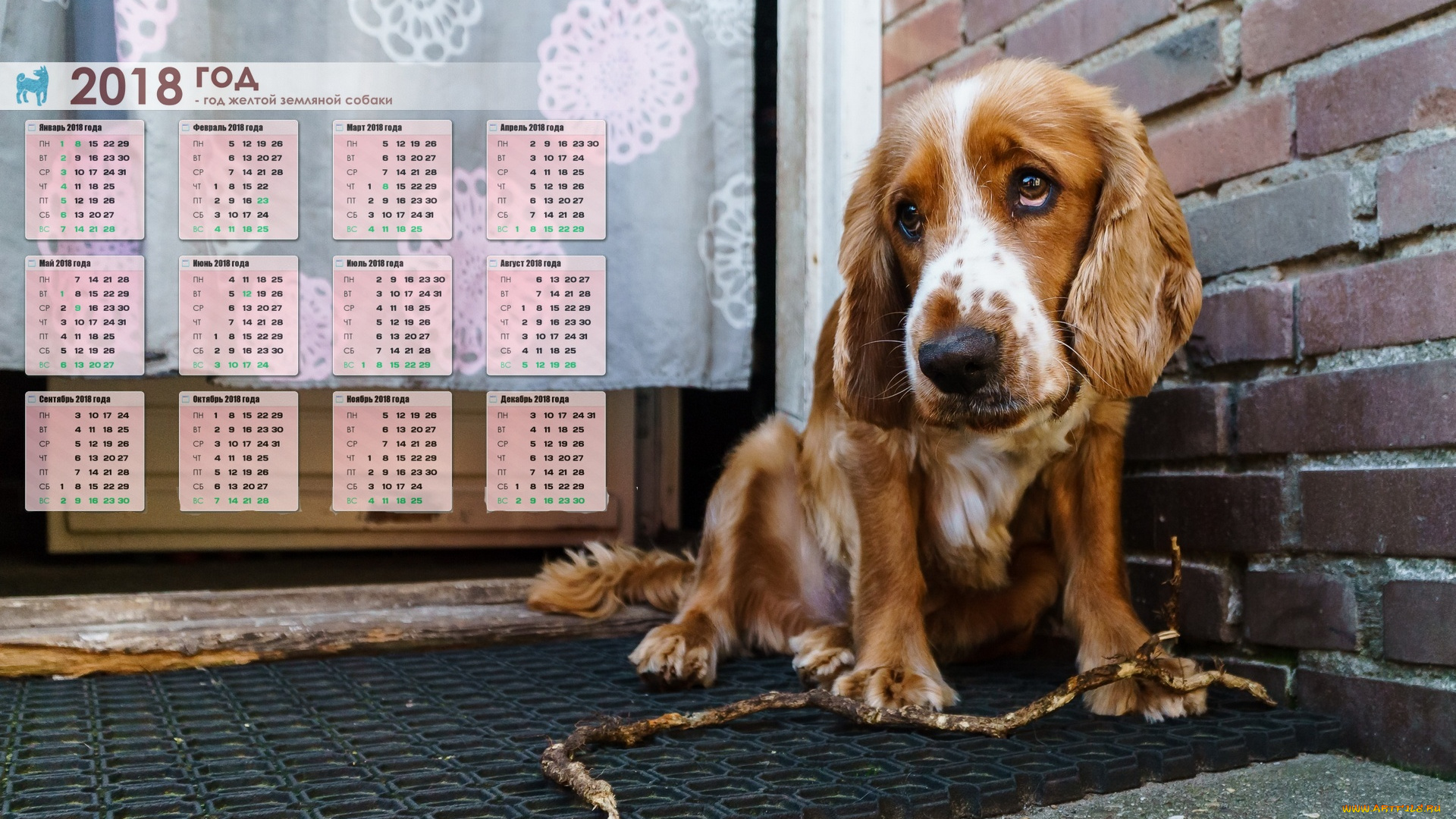 календари, животные, коврик, занавес, палка, грусть, собака