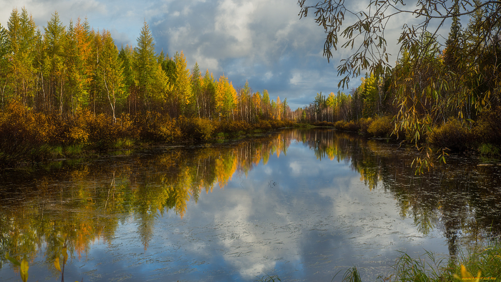 природа, реки, озера, отражение, трава, деревья, кусты, озеро, вода, облака, ветки, осень, лес