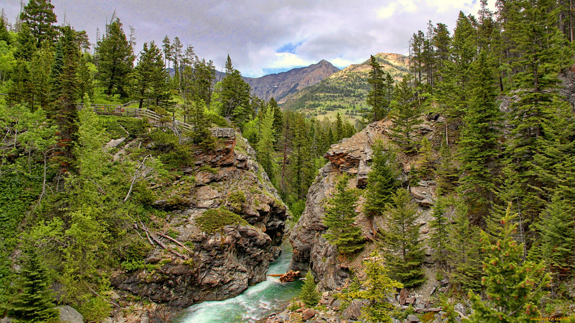 природа, реки, озера, простор