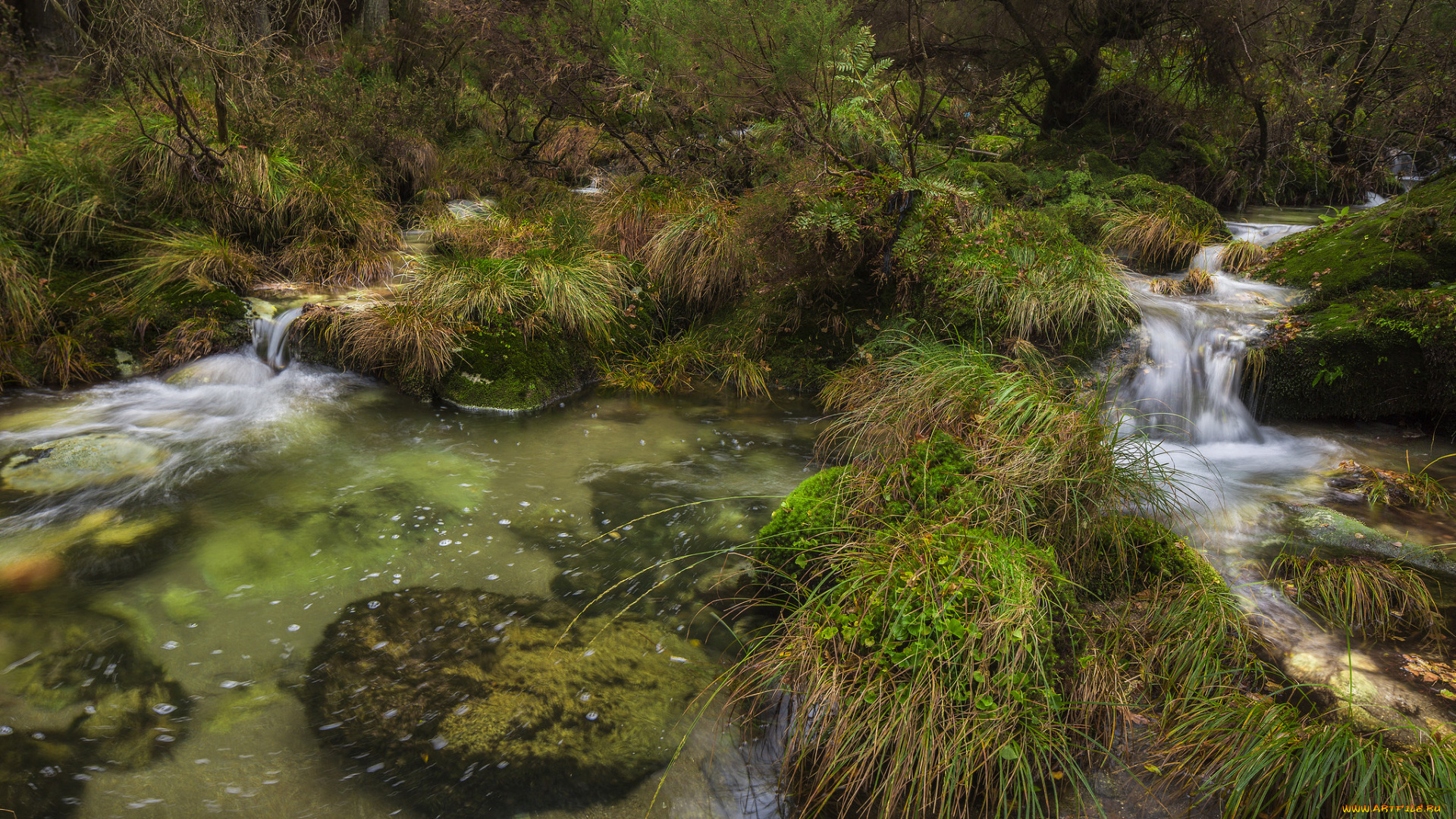 природа, реки, озера, простор