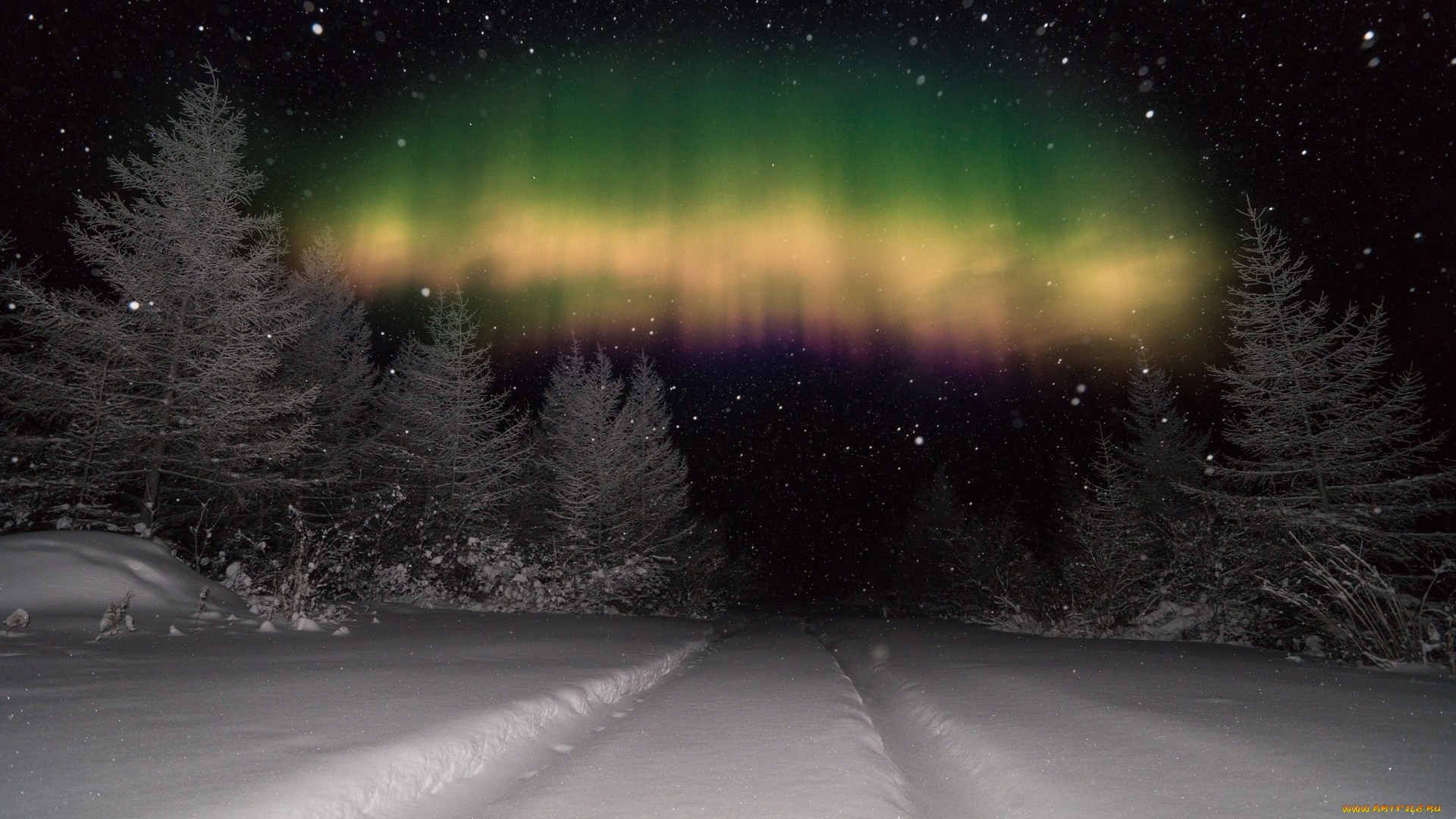 природа, северное, сияние, черно-белое, зима, снег, деревья, северное, сияние, снежинки, колея, небо, ночь, фотошоп, лес