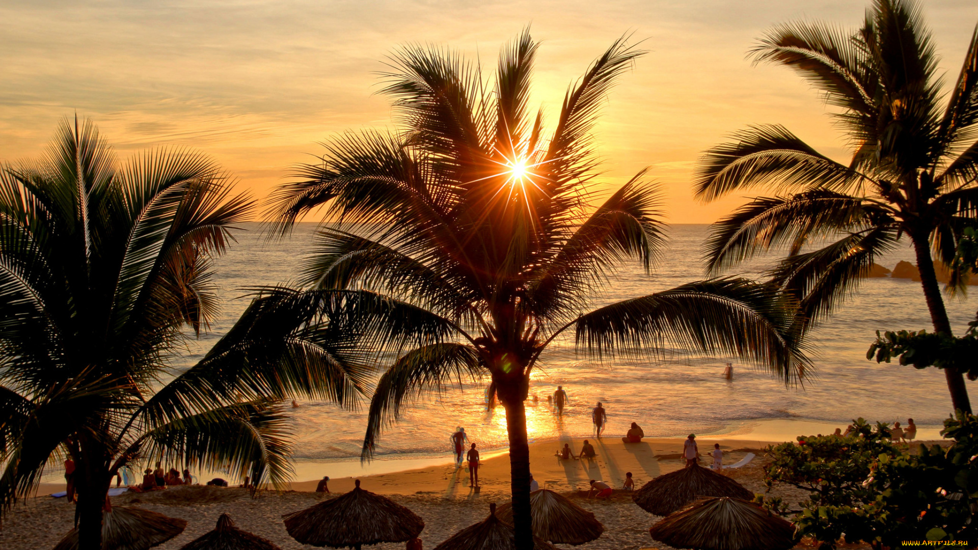 природа, тропики, простор