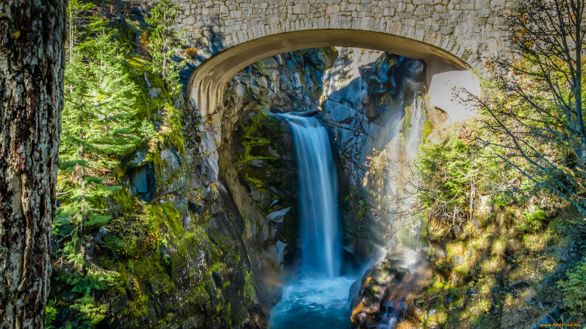 природа, водопады, мост, водопад, деревья