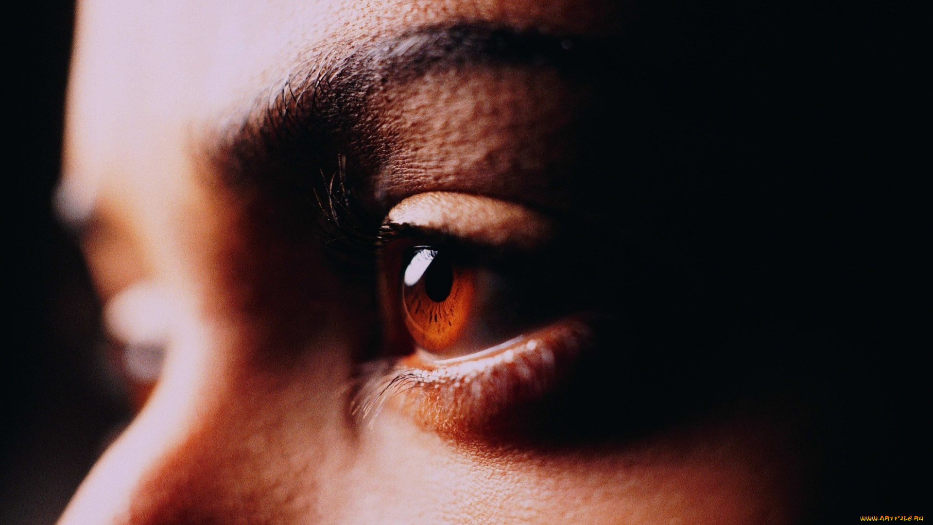 разное, глаза, карие