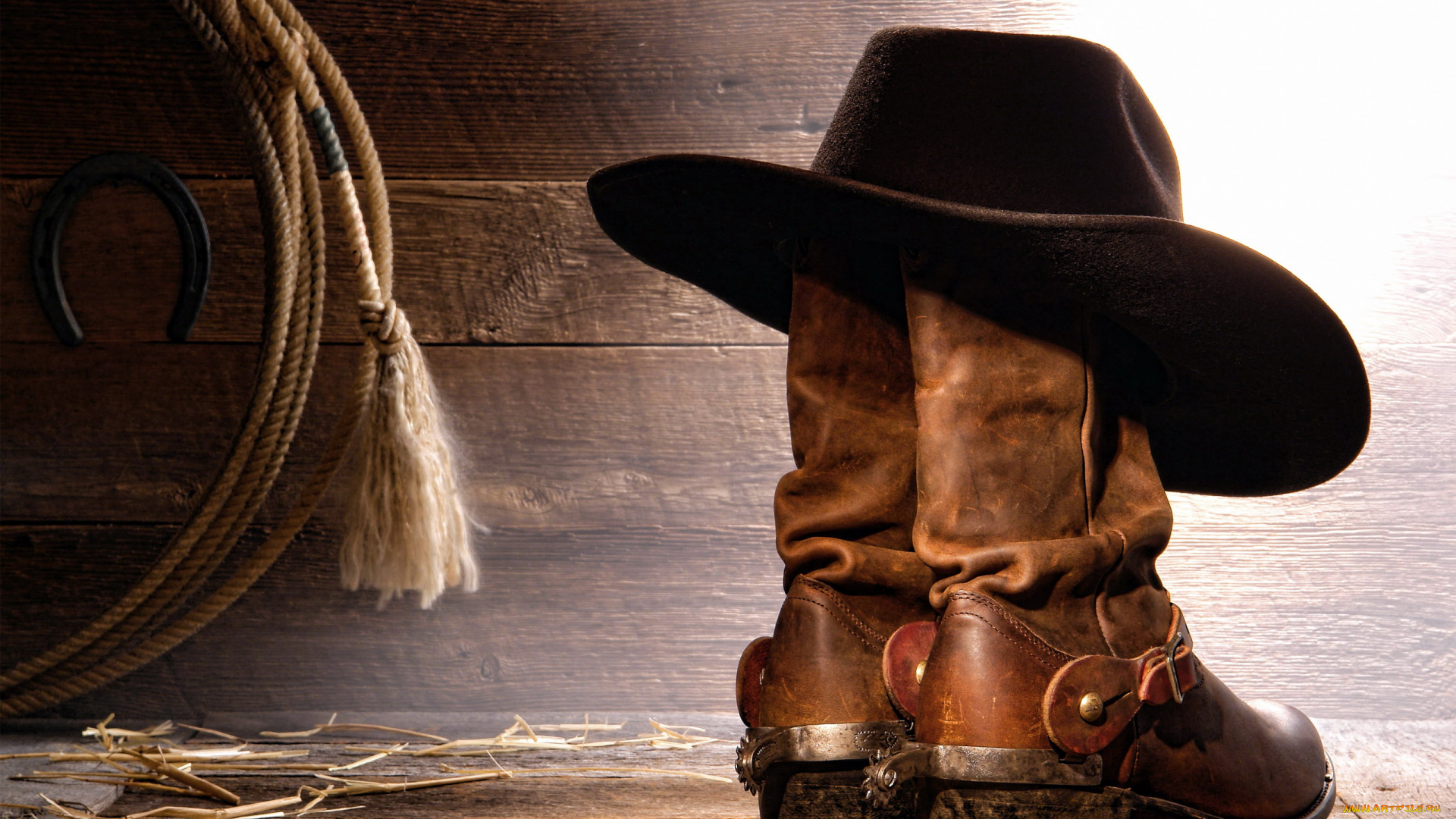 разное, одежда, , обувь, , текстиль, , экипировка, ковбойские, лассо, сапоги, шляпа