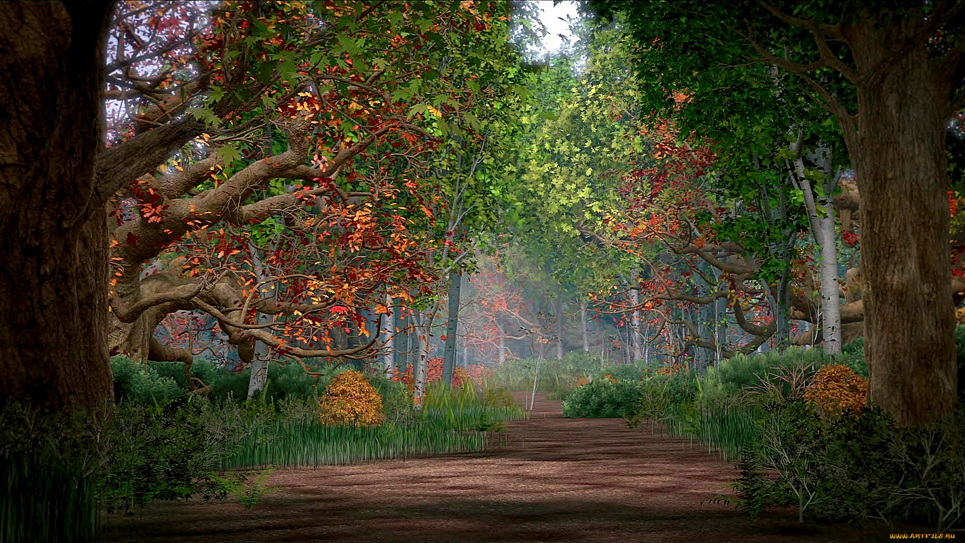 рисованное, природа, деревья, растения, лес, осень