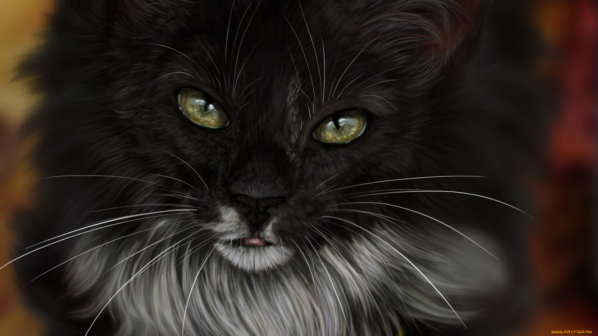 рисованное, животные, , коты, взгляд