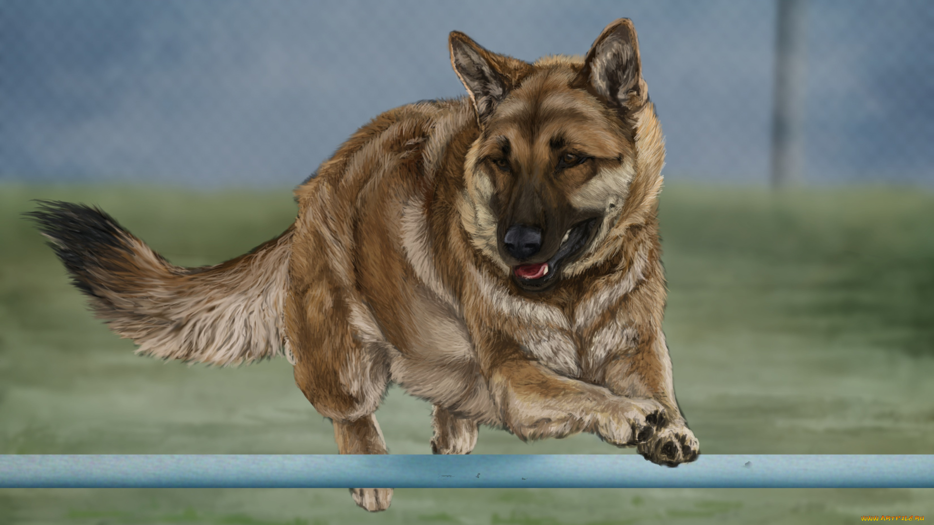 рисованное, животные, , собаки, друг, собака, взгляд