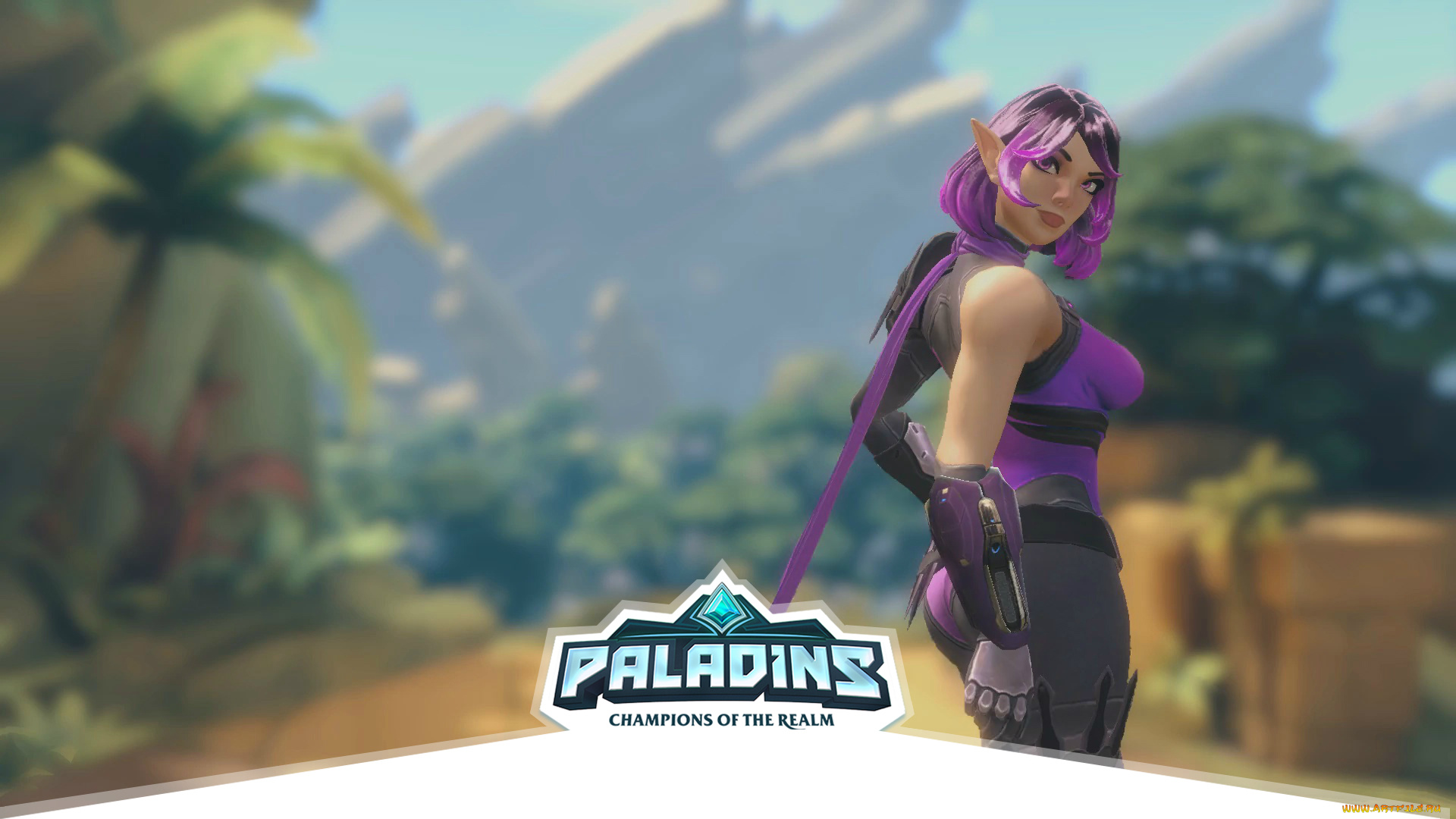 видео, игры, paladins