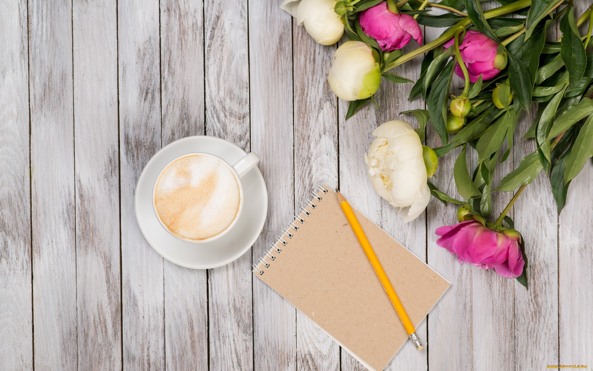 праздничные, день, святого, валентина, , сердечки, , любовь, flowers, romantic, кофе, peonies, white, pink, пионы, valentine`s, day, бутоны