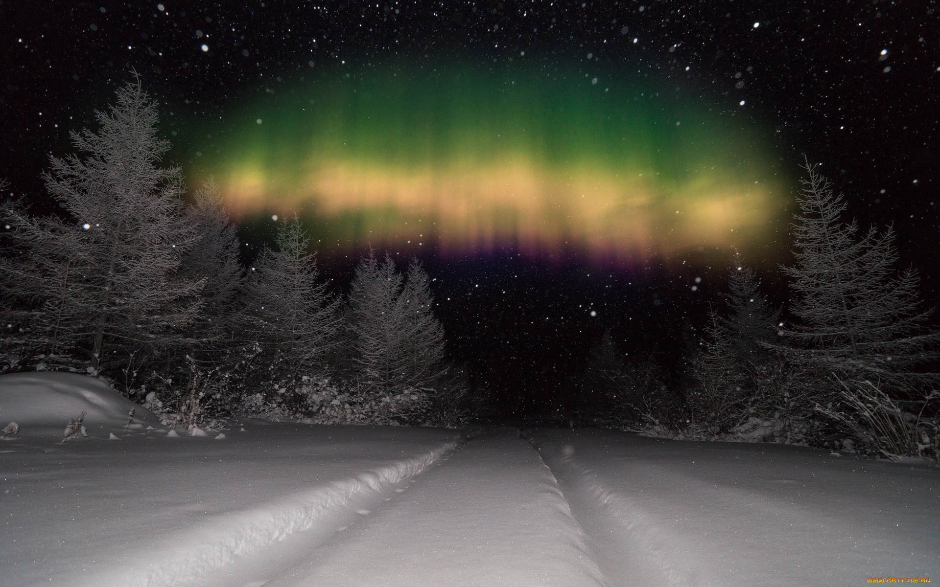 природа, северное, сияние, черно-белое, зима, снег, деревья, северное, сияние, снежинки, колея, небо, ночь, фотошоп, лес