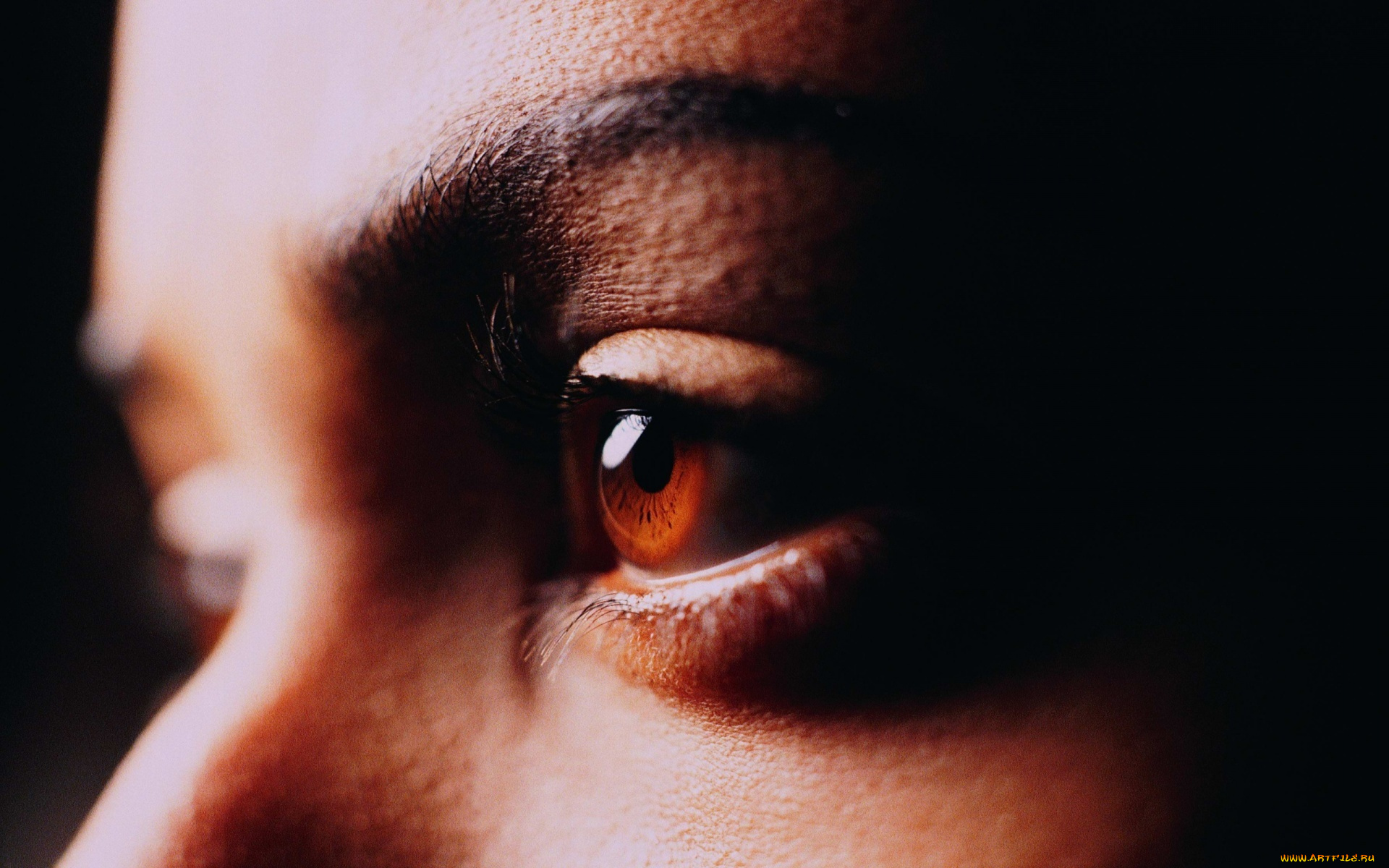 разное, глаза, карие