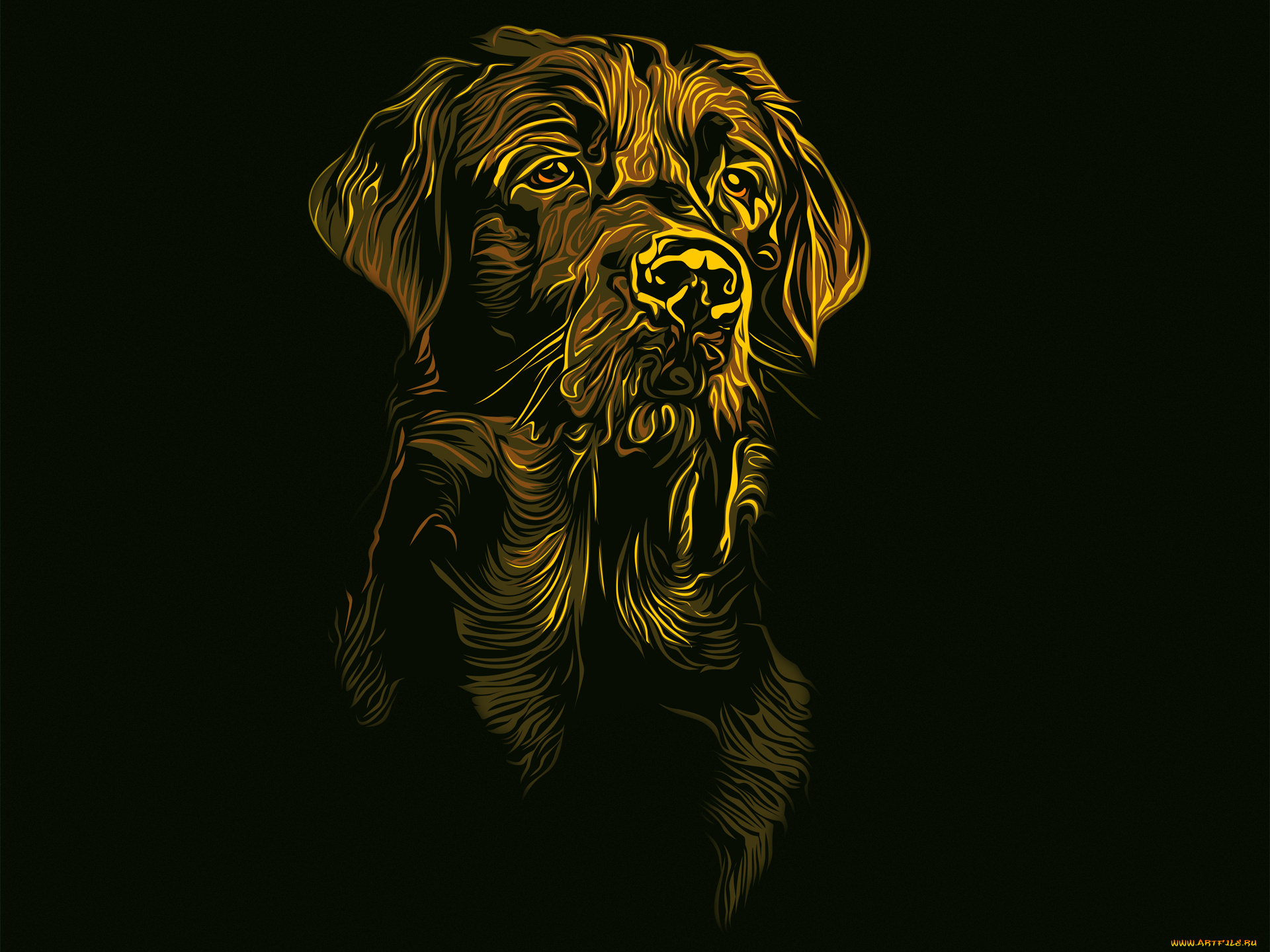 рисованное, животные, , собаки, черный, фон