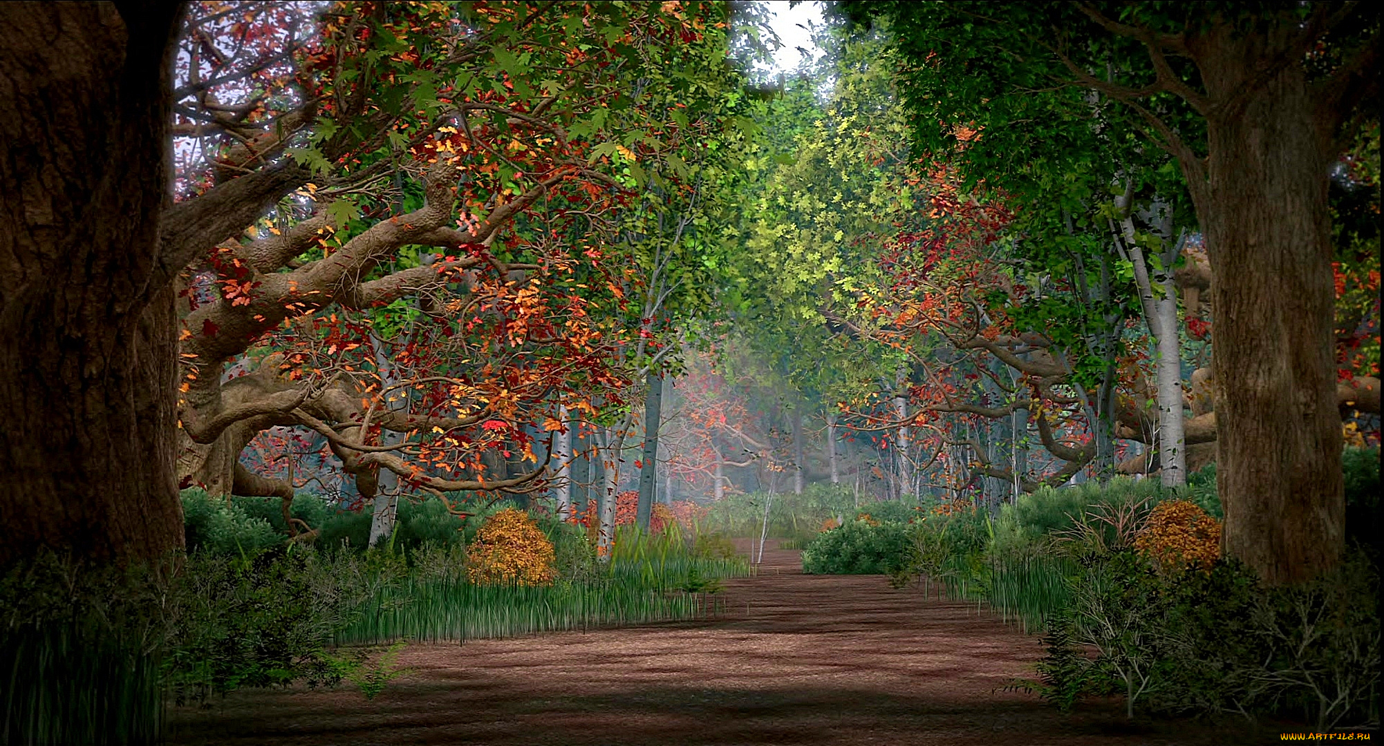 рисованное, природа, деревья, растения, лес, осень