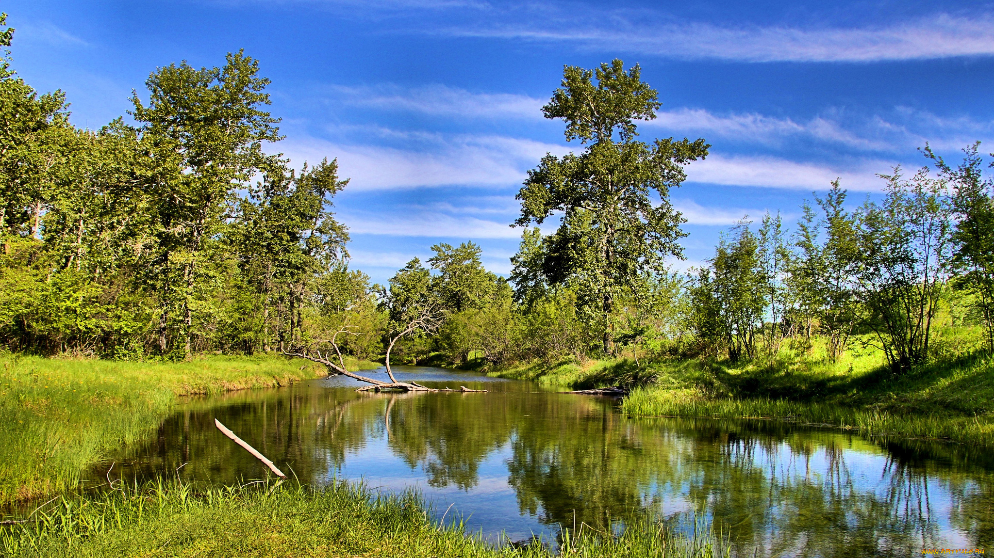 природа, реки, озера, простор