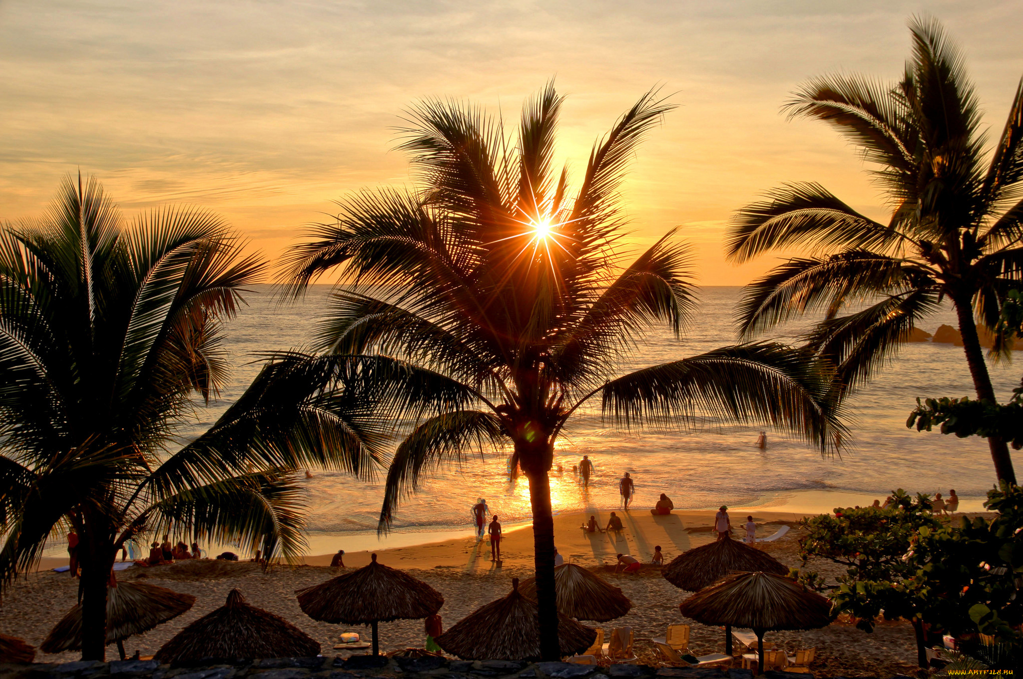 природа, тропики, простор