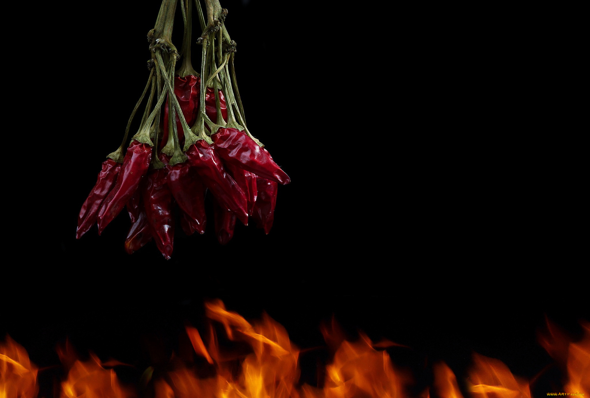 еда, перец, огонь