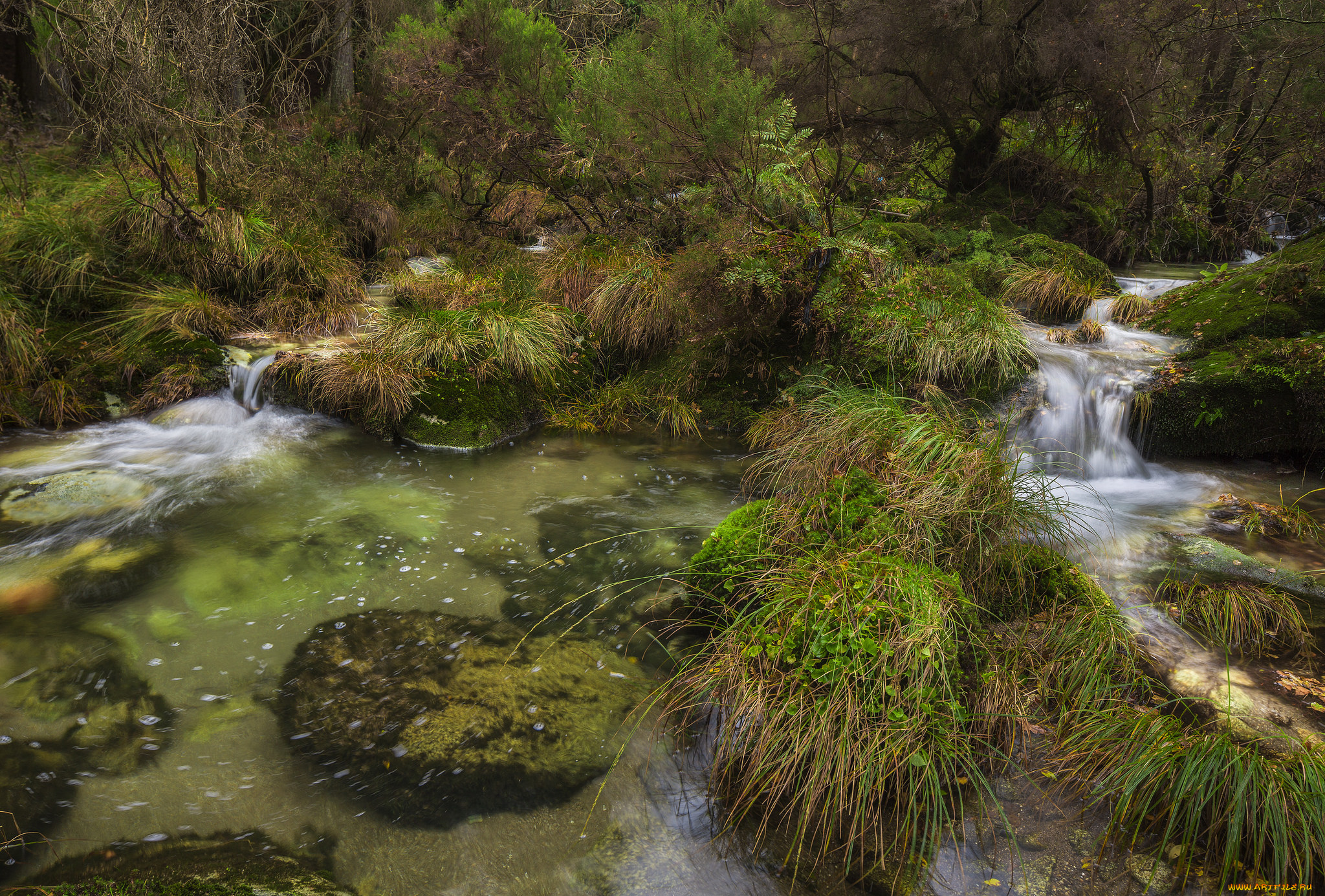 природа, реки, озера, простор