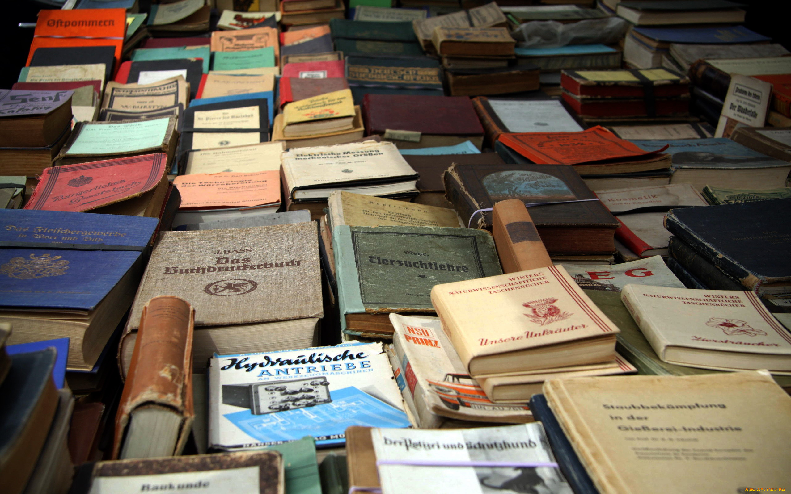 разное, канцелярия, , книги, букинистика