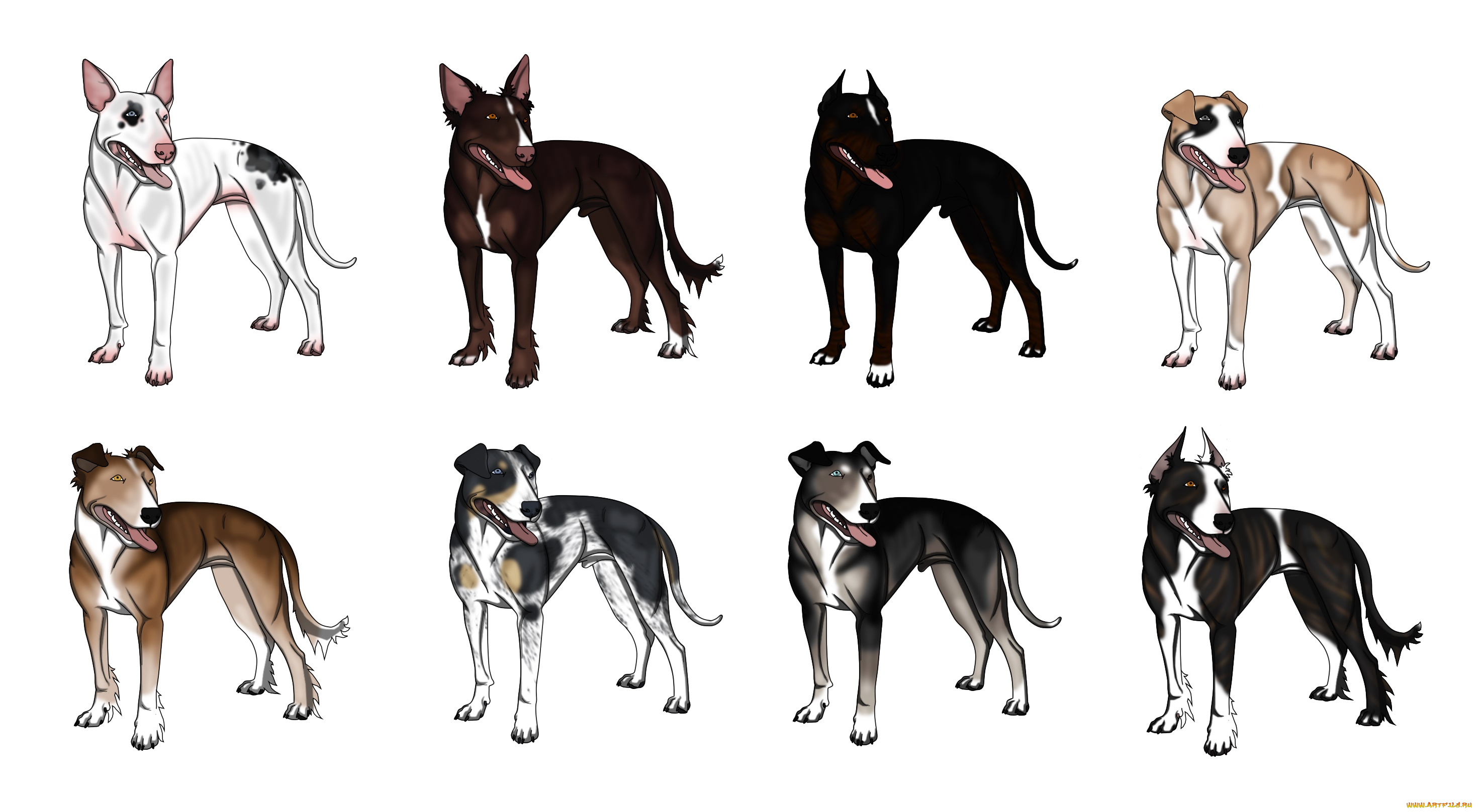 рисованное, животные, , собаки, взгляд, лес, собаки