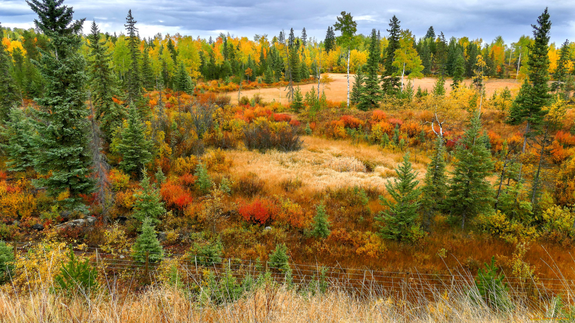 природа, пейзажи, простор