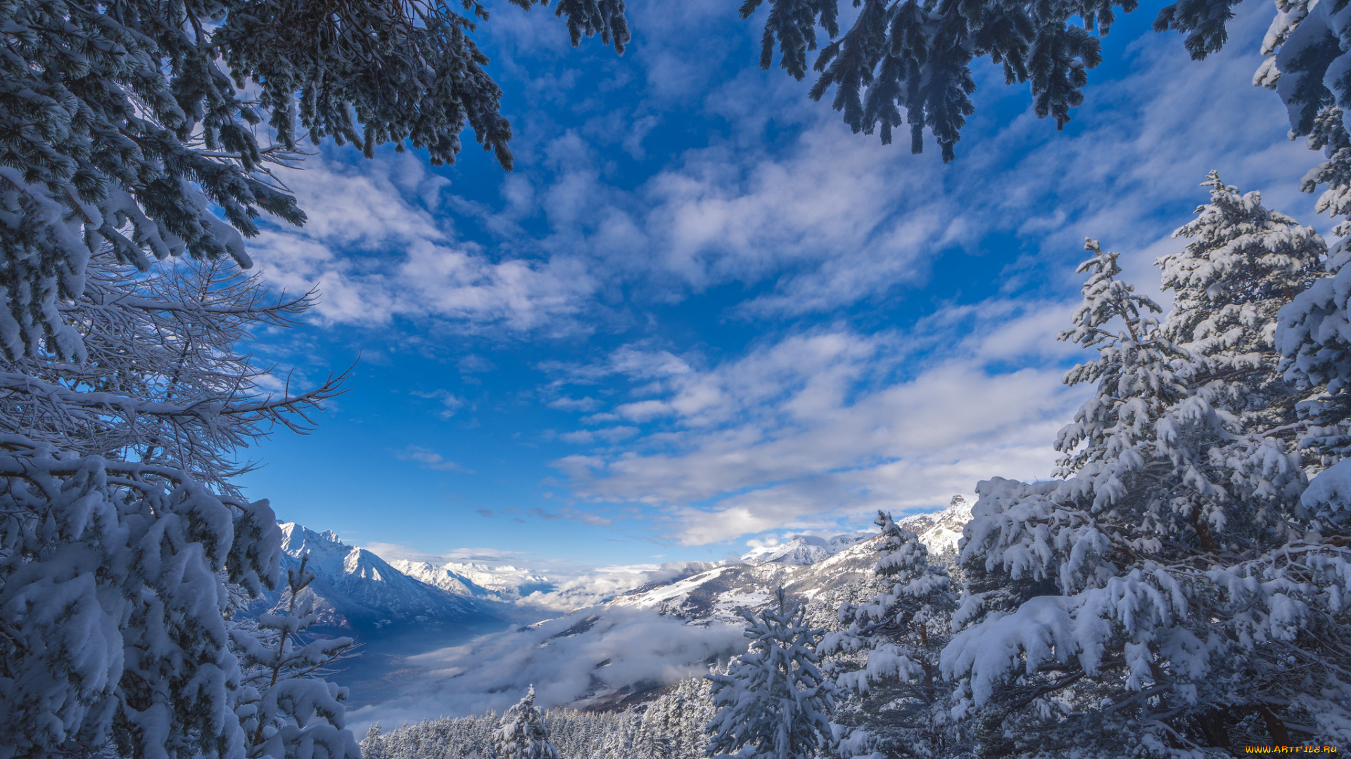 природа, пейзажи, простор