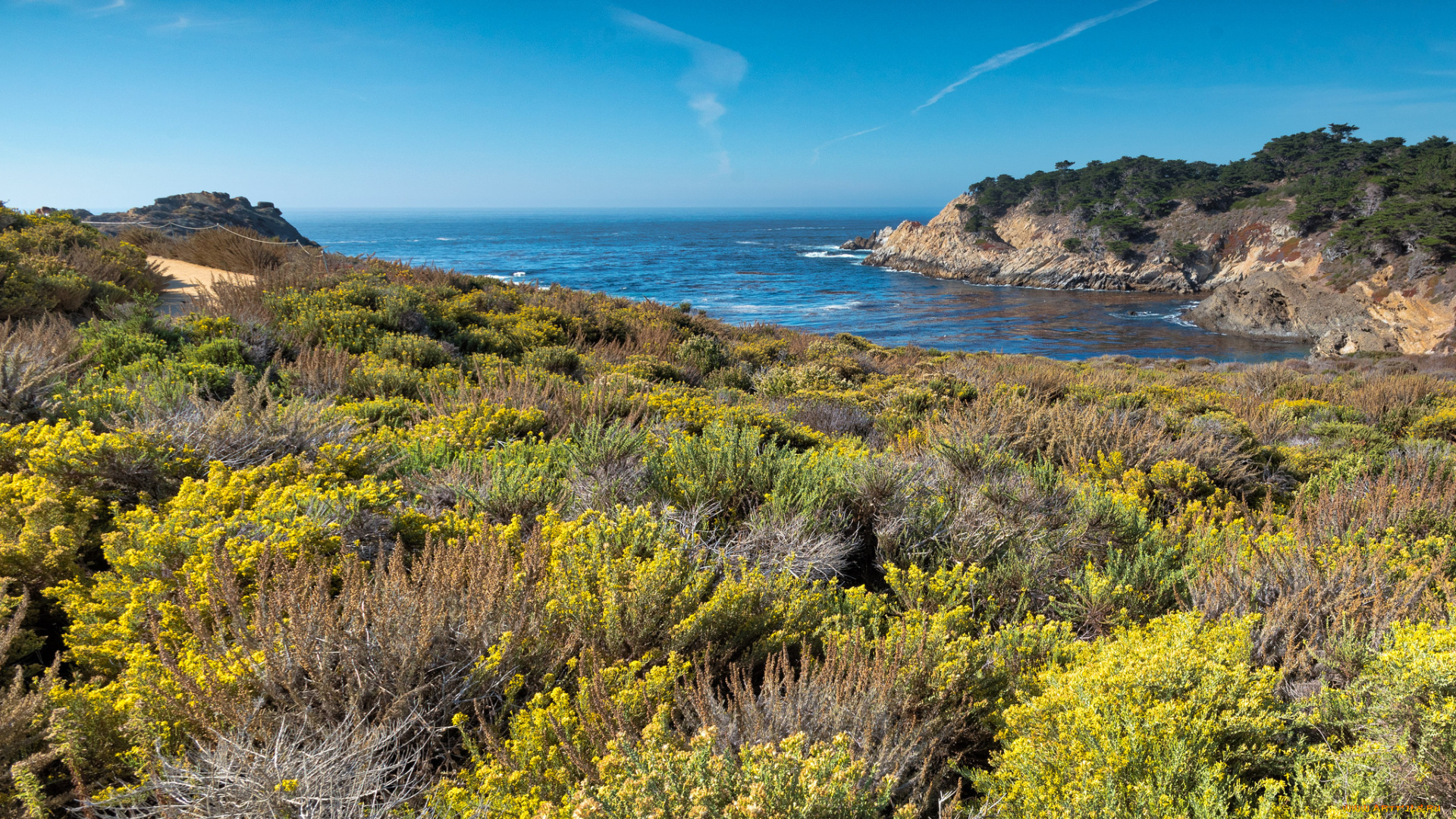 природа, побережье, простор