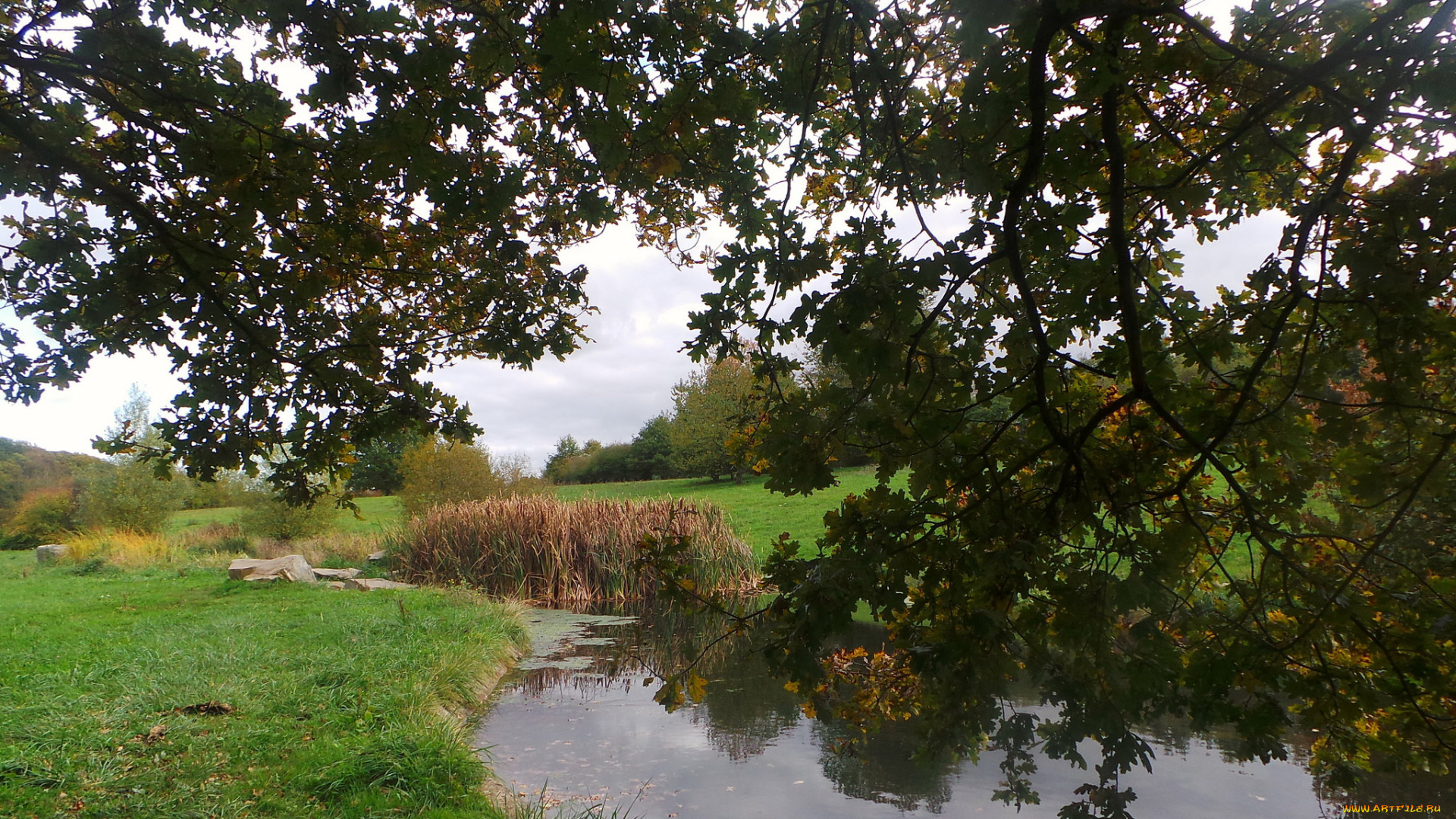 природа, реки, озера, простор