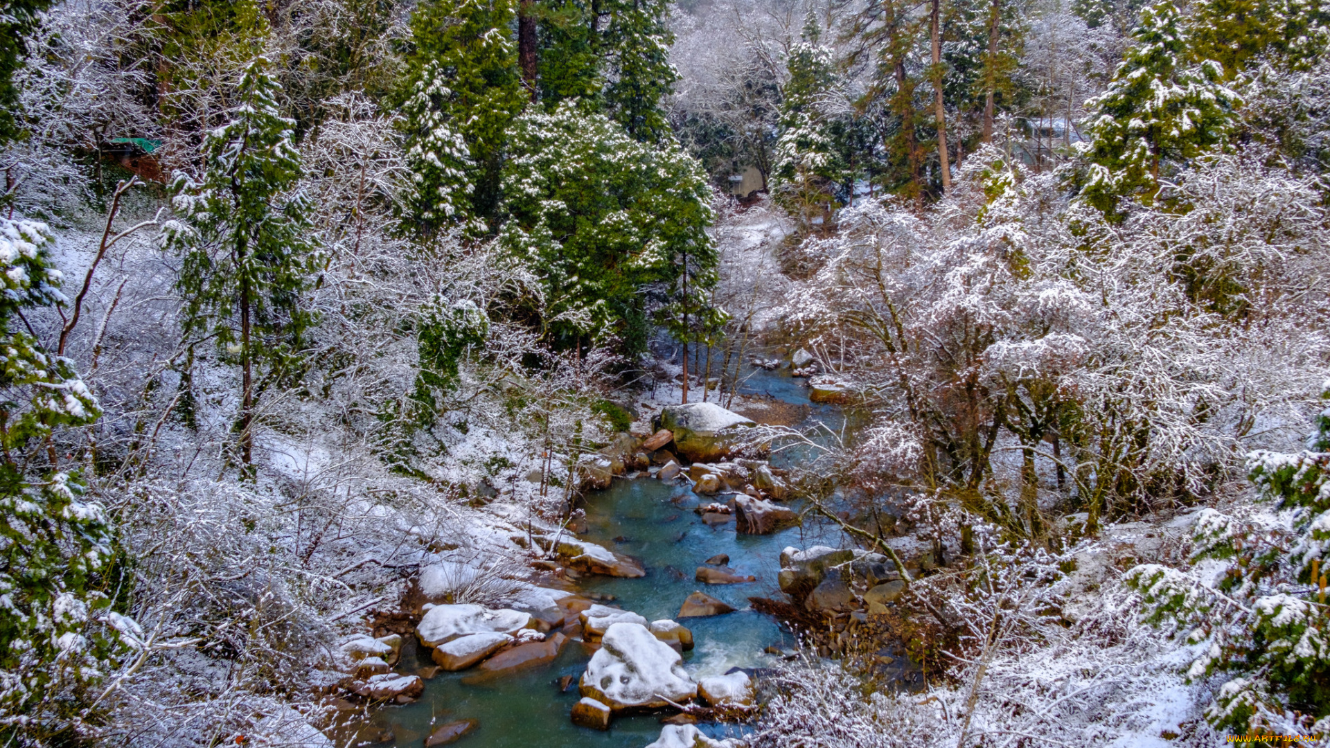 природа, реки, озера, простор