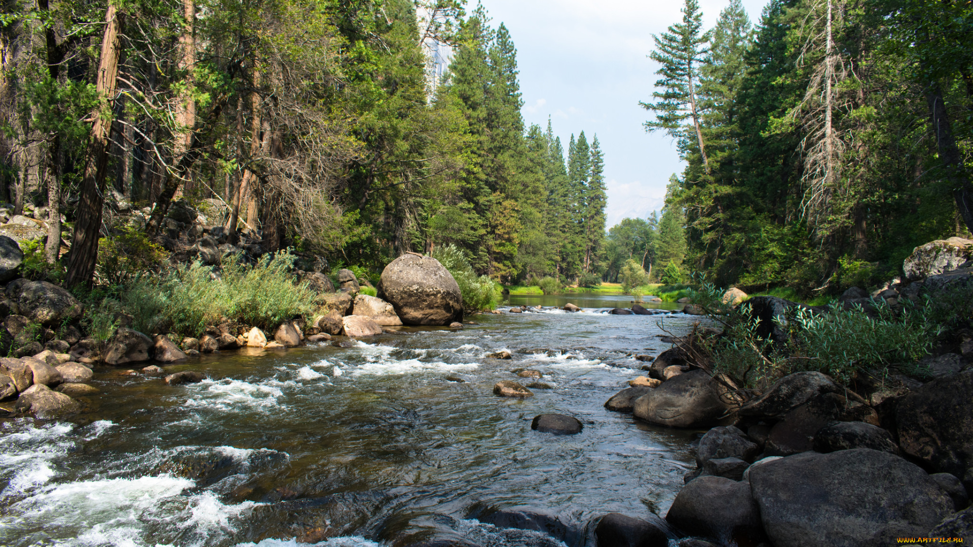 природа, реки, озера, простор