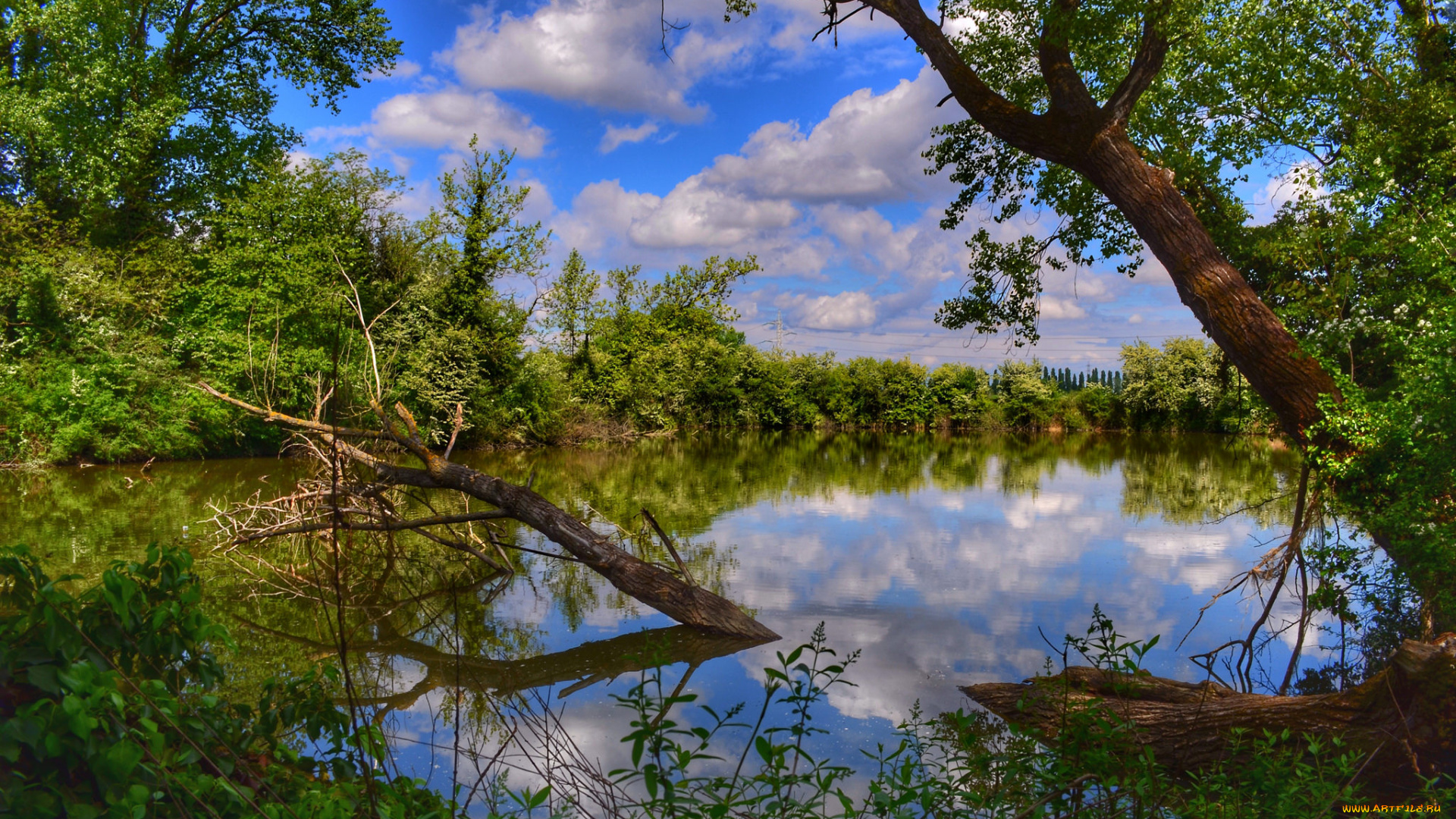 природа, реки, озера, простор