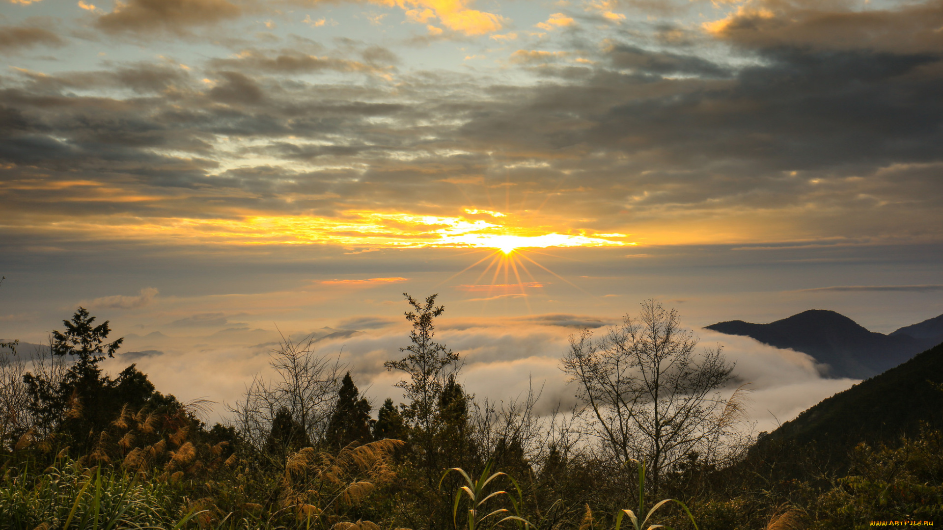 природа, восходы, закаты, простор