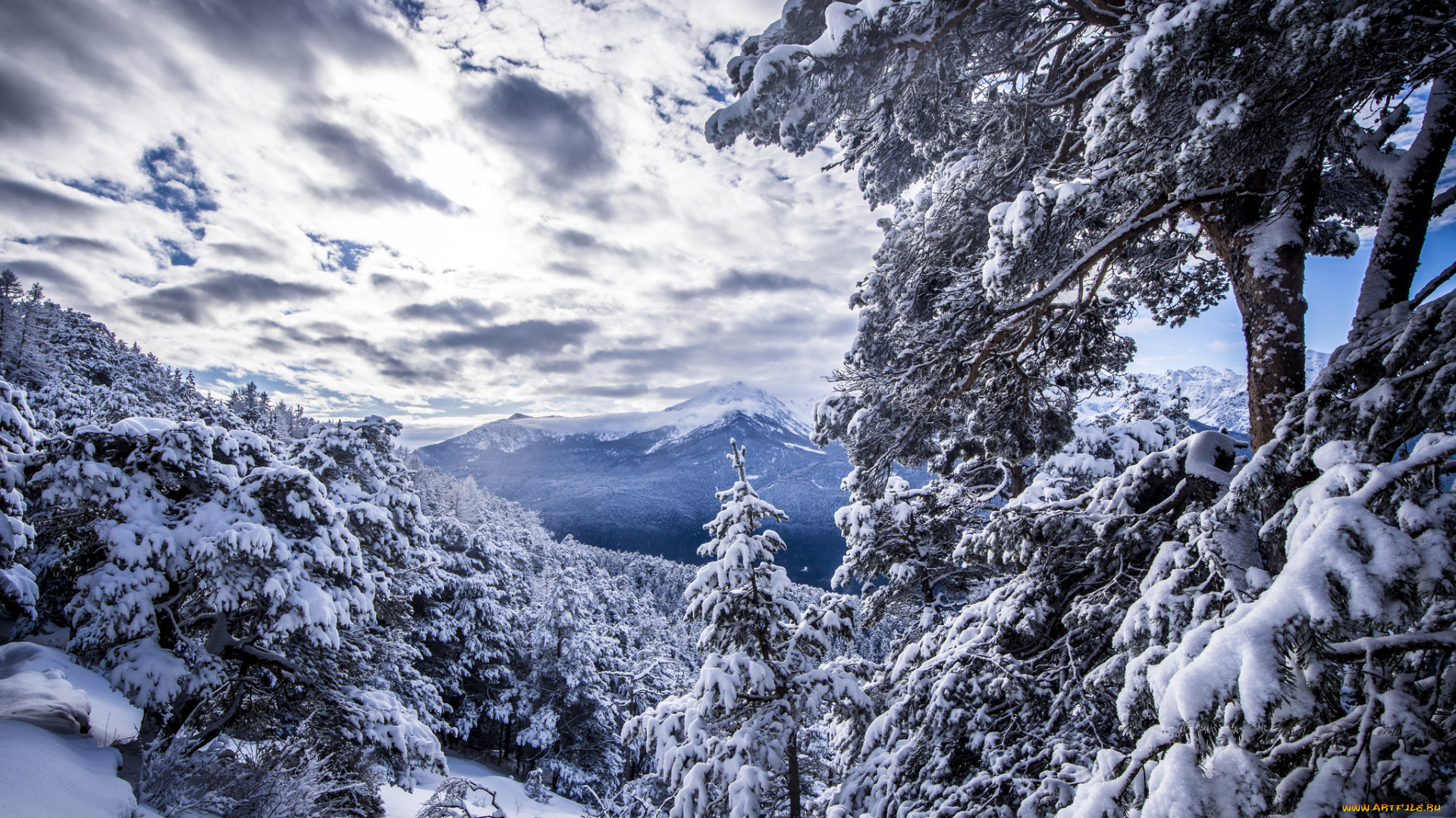 природа, зима, простор