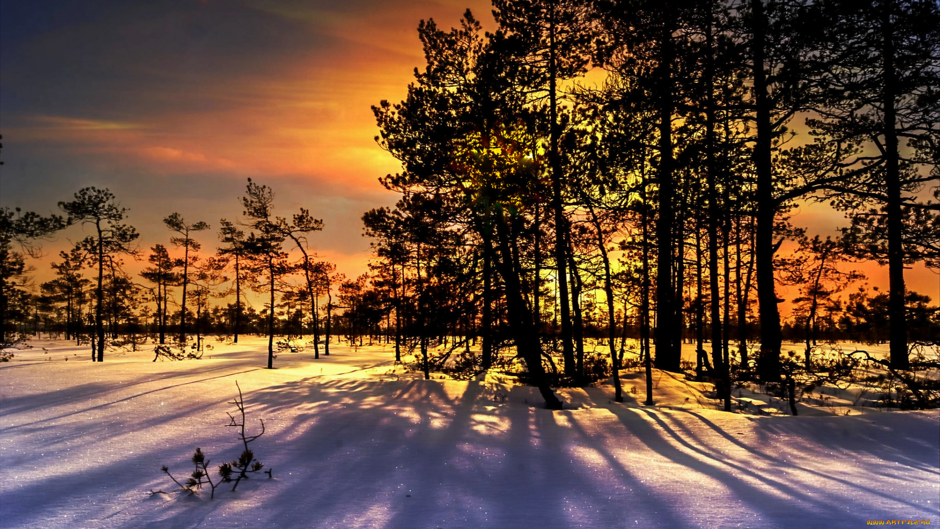 природа, зима, простор