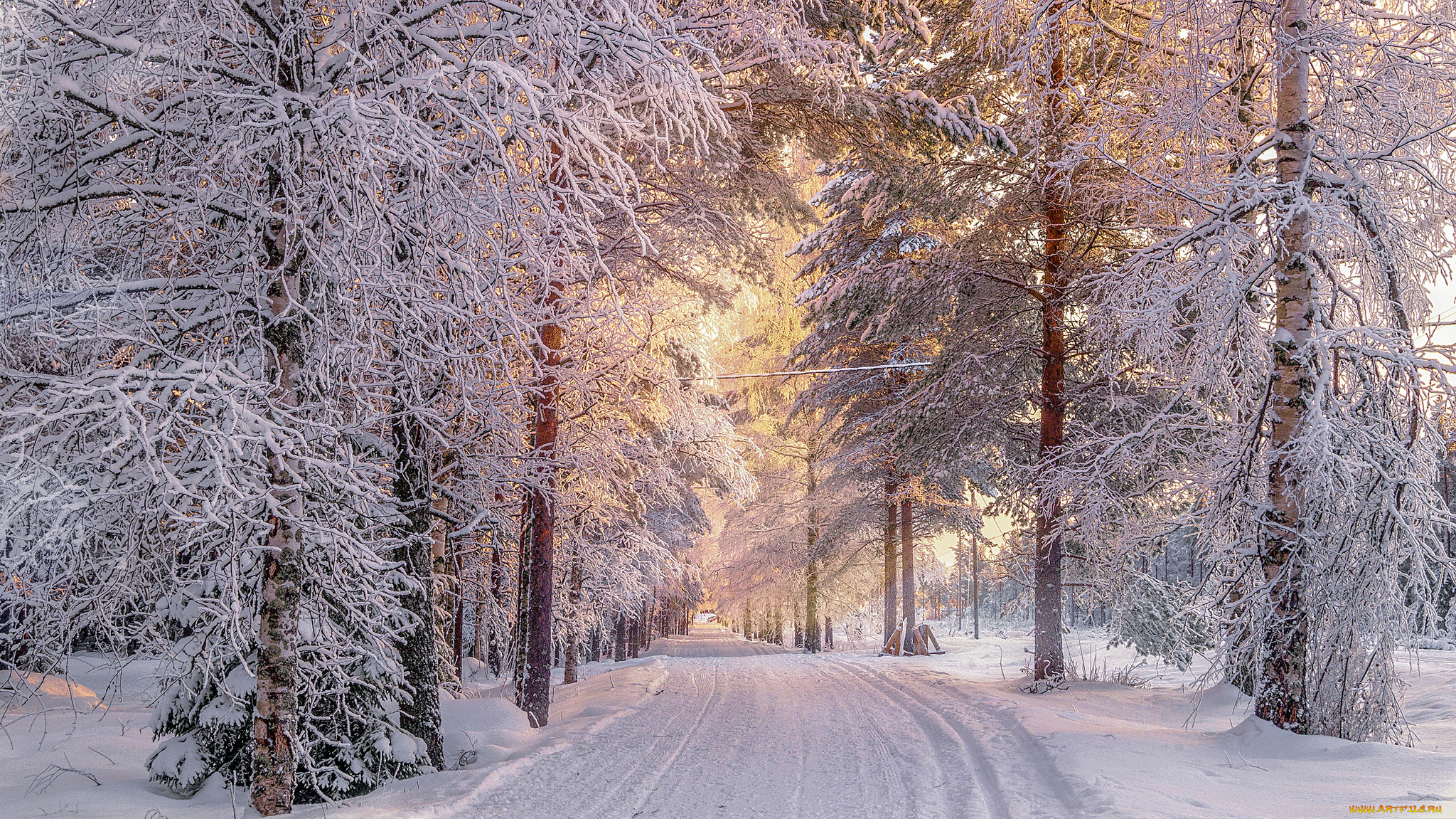 природа, зима, простор