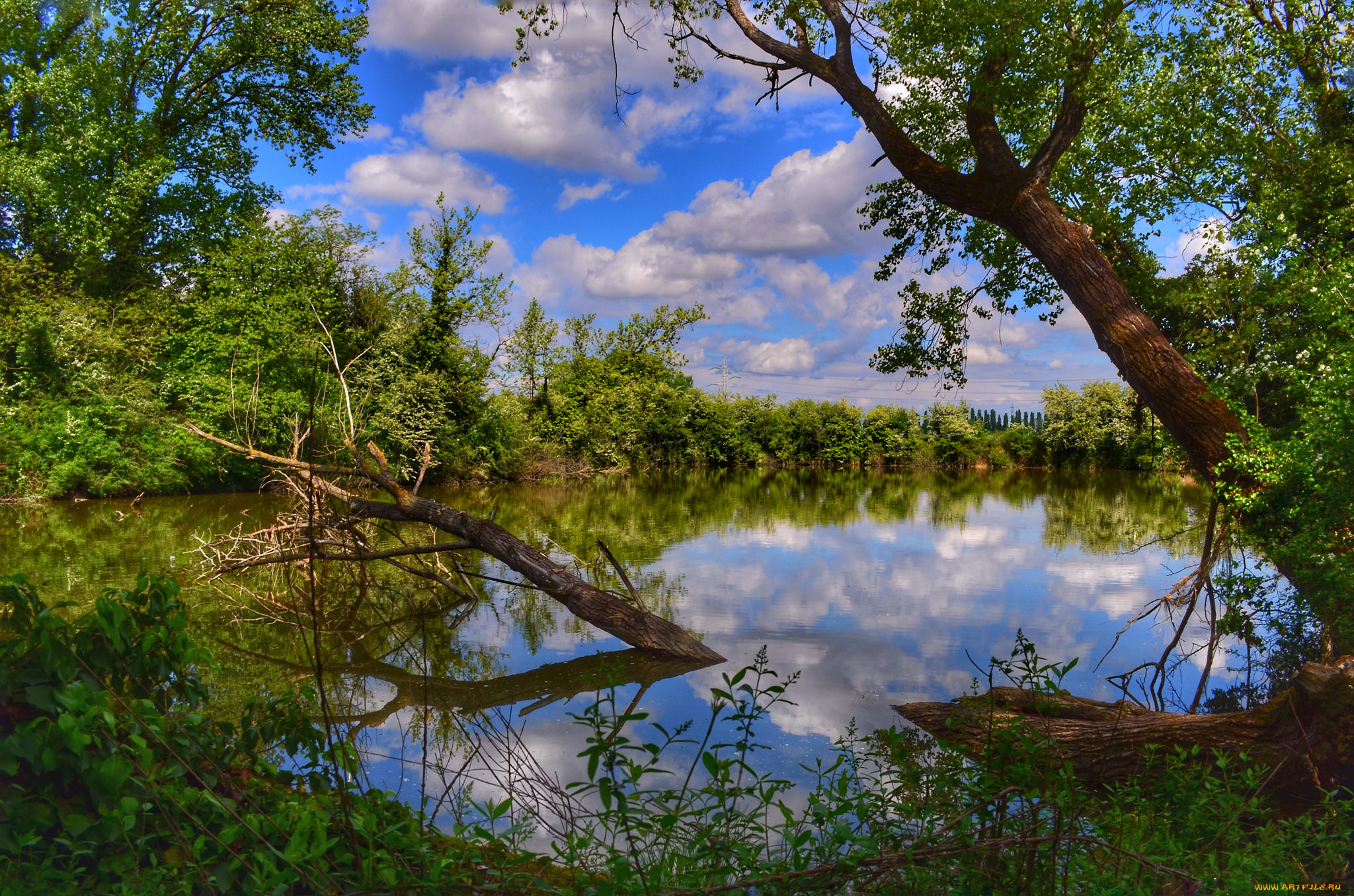 природа, реки, озера, простор