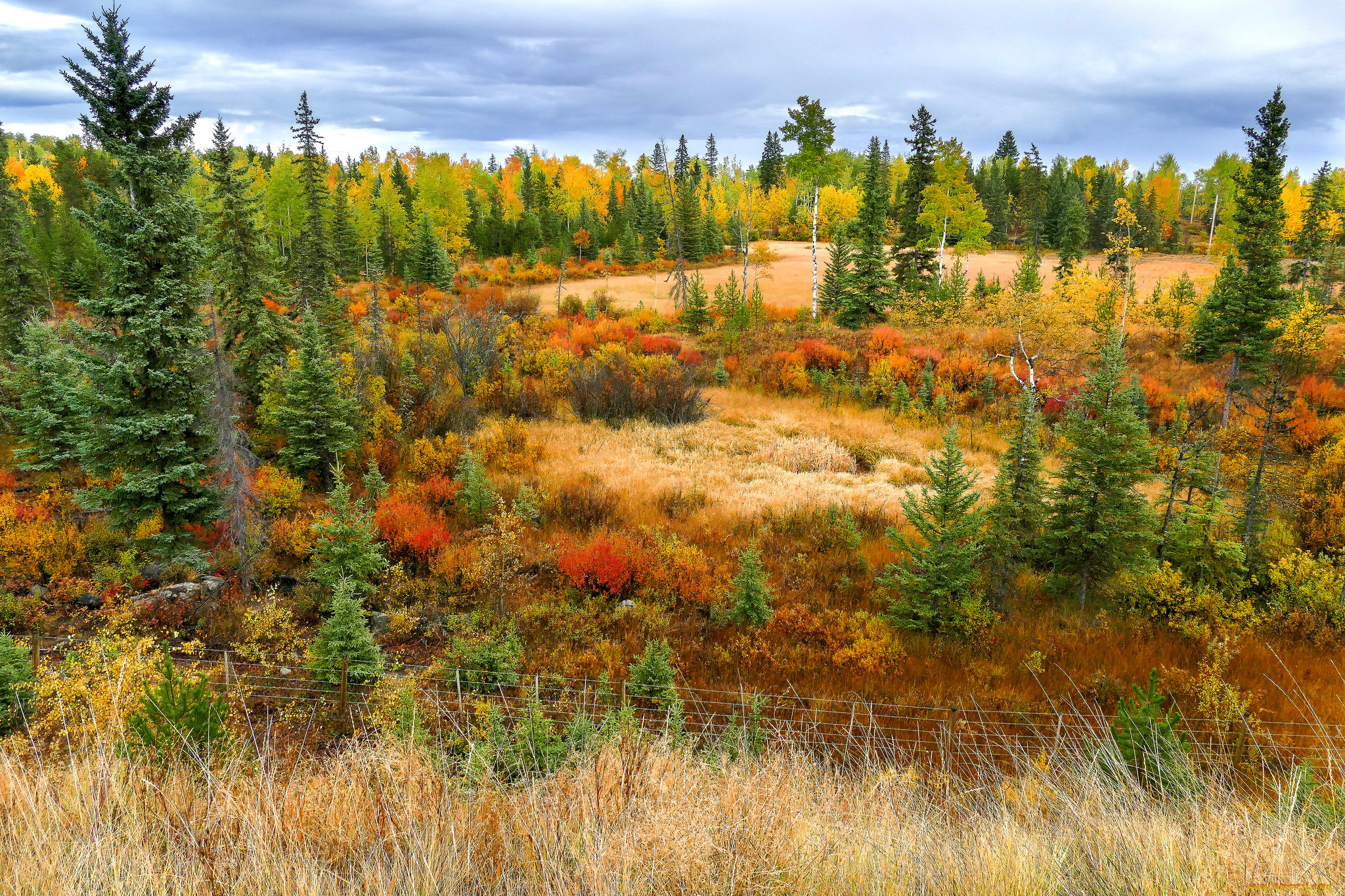 природа, пейзажи, простор