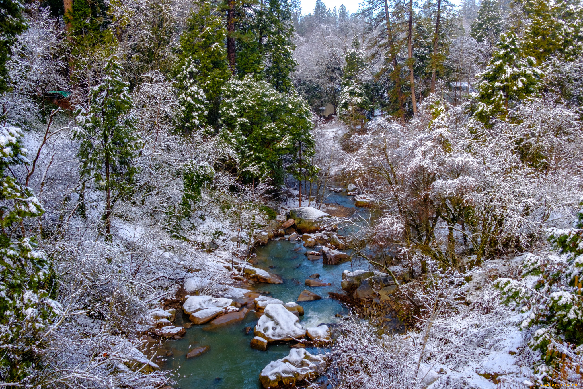 природа, реки, озера, простор