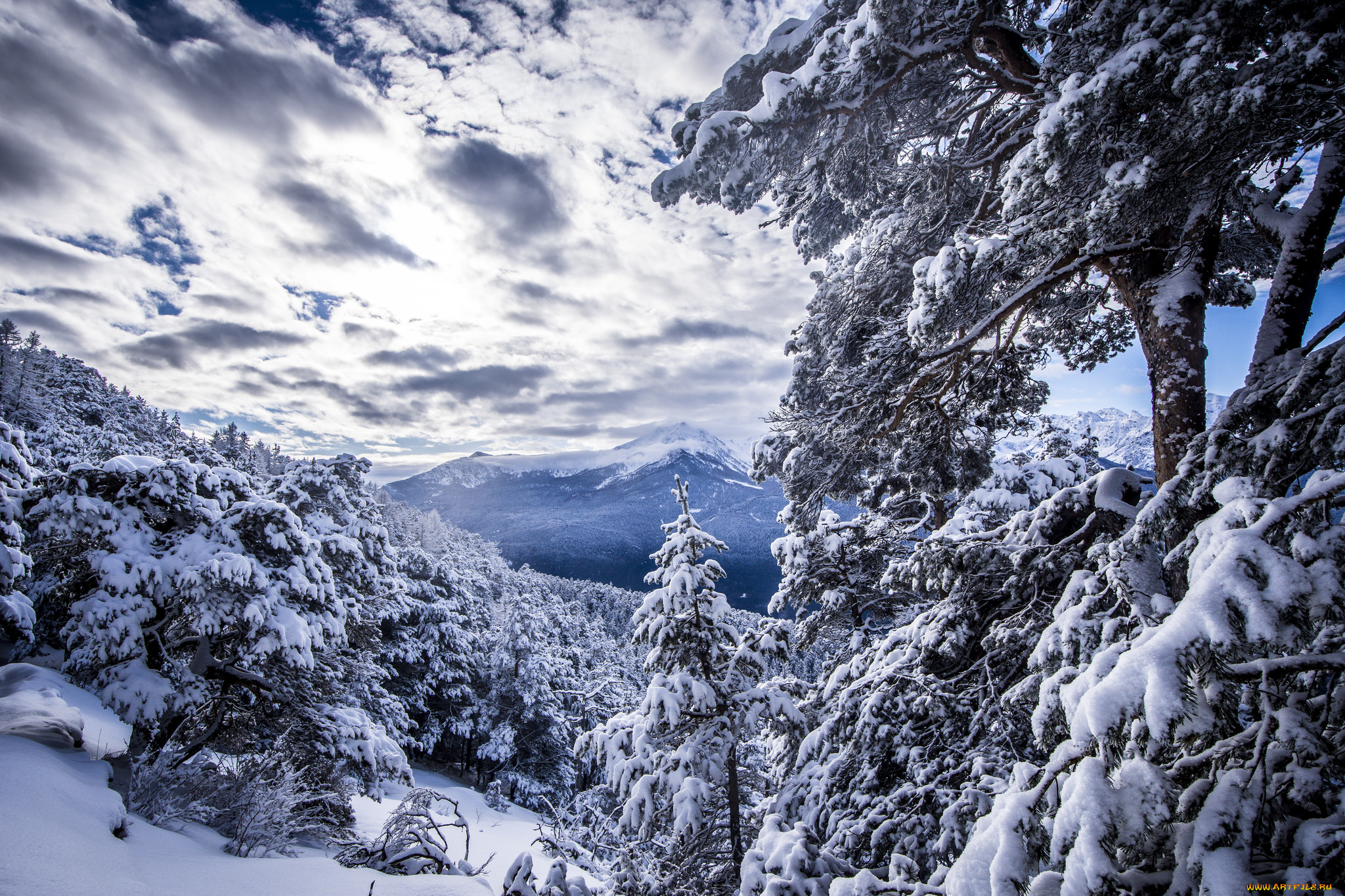 природа, зима, простор