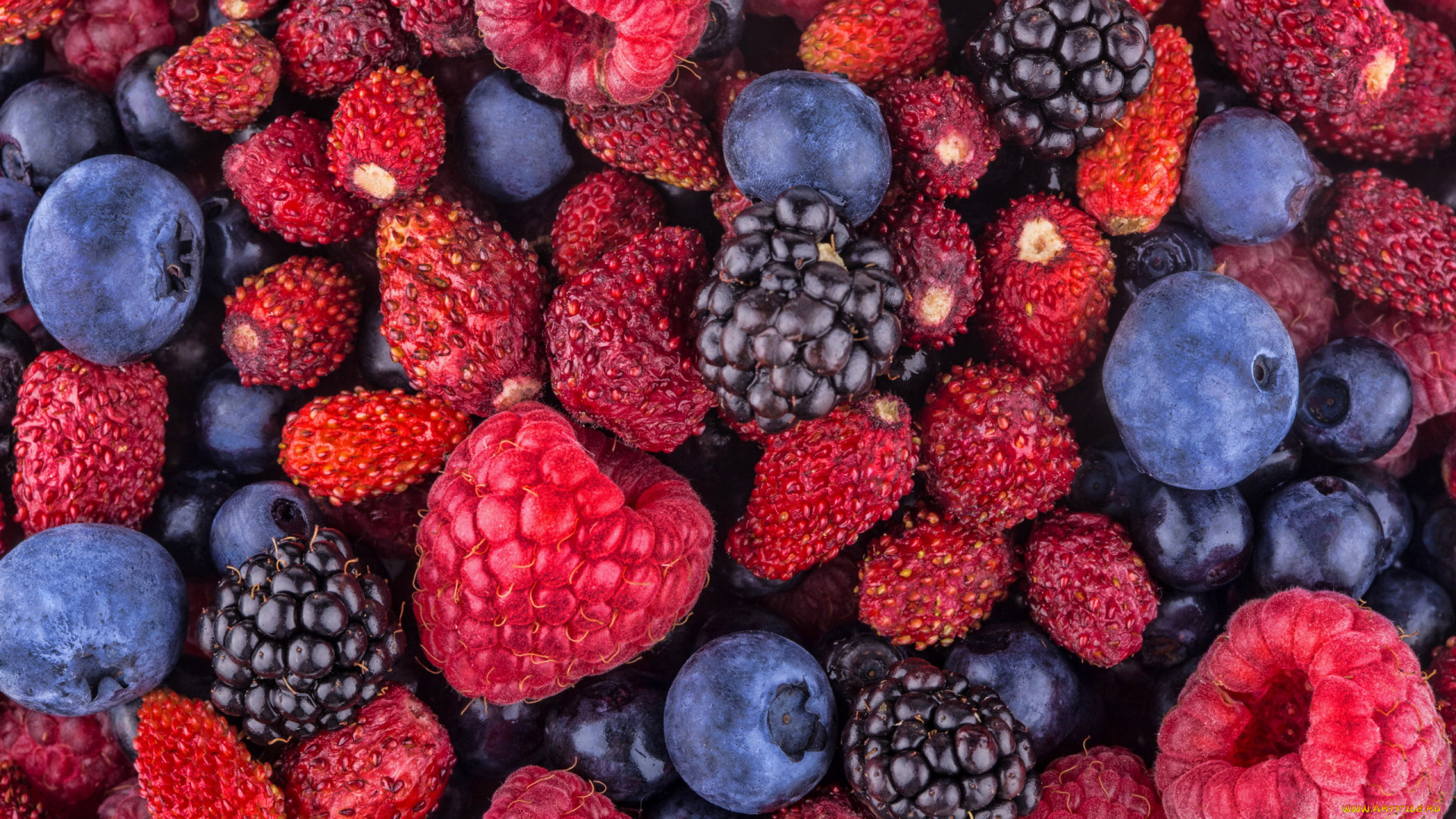 еда, фрукты, , ягоды, земляника, черника, ежевика, малина